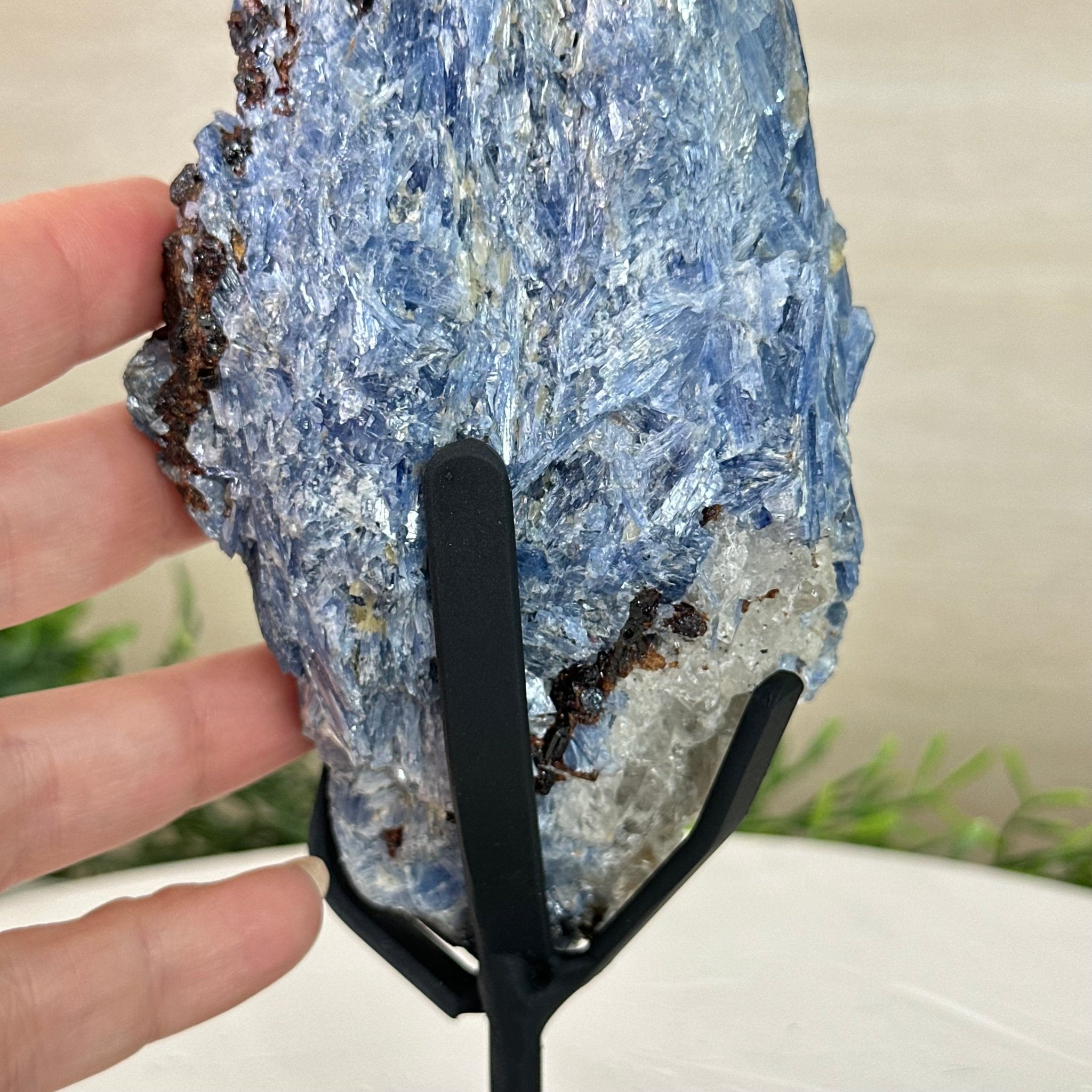 Kyanite Crystal on Metal Stand, 2.7 lbs & 11.9" Tall #6010 - 0018 - Brazil GemsBrazil GemsKyanite Crystal on Metal Stand, 2.7 lbs & 11.9" Tall #6010 - 0018Clusters on Fixed Bases6010 - 0018