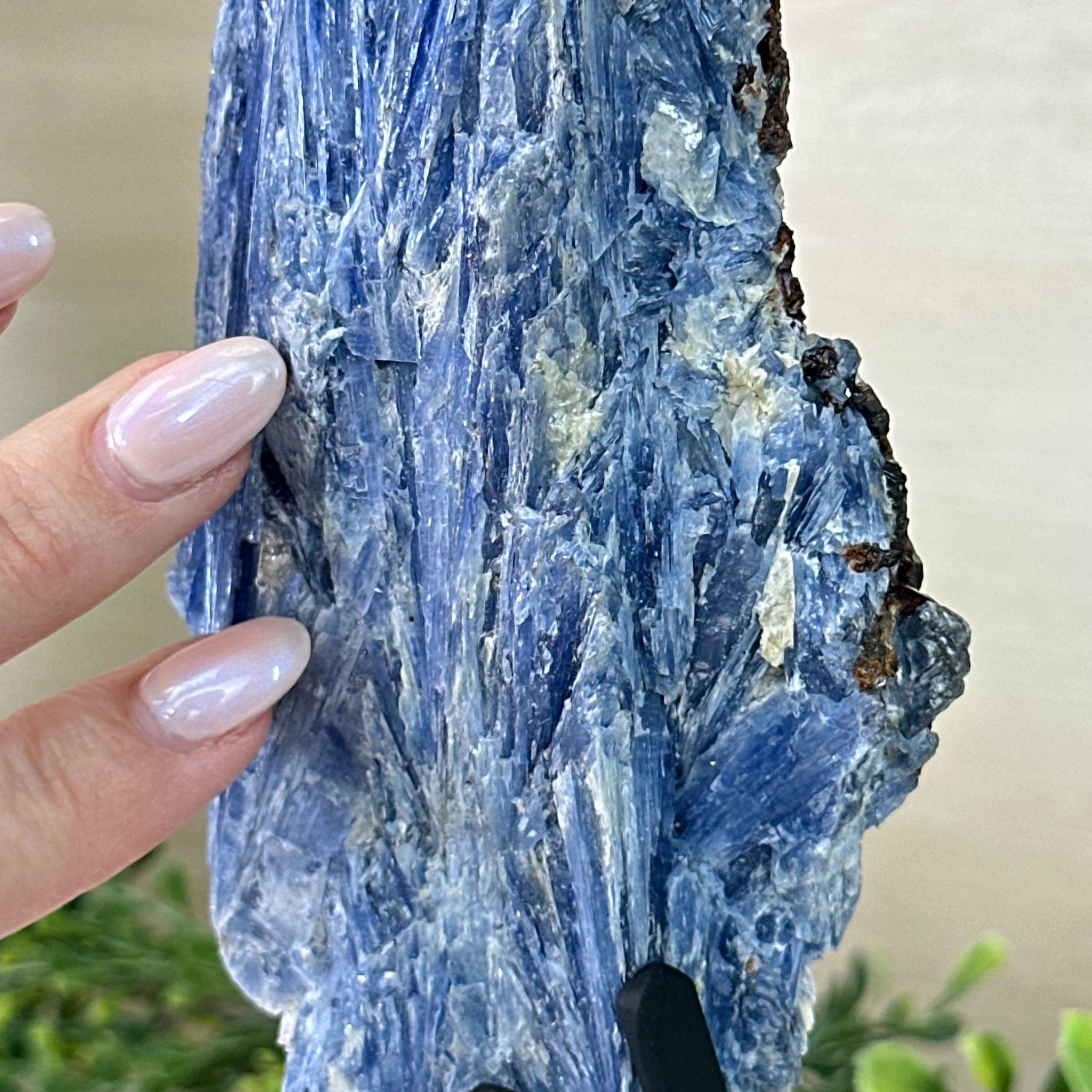 Kyanite Crystal on Metal Stand, 2.7 lbs & 11.9" Tall #6010 - 0018 - Brazil GemsBrazil GemsKyanite Crystal on Metal Stand, 2.7 lbs & 11.9" Tall #6010 - 0018Clusters on Fixed Bases6010 - 0018