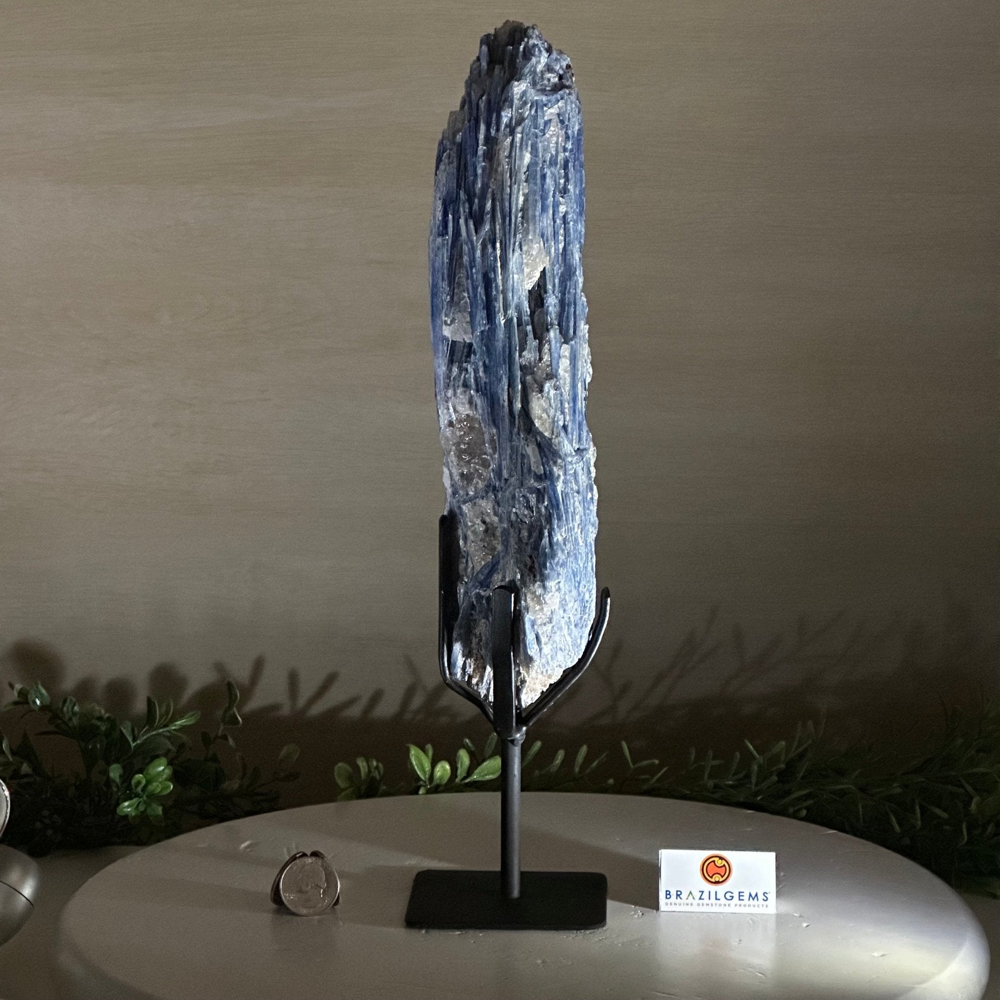 Kyanite Crystal on Metal Stand, 3.7 lbs & 14.2" Tall #6010 - 0020 - Brazil GemsBrazil GemsKyanite Crystal on Metal Stand, 3.7 lbs & 14.2" Tall #6010 - 0020Clusters on Fixed Bases6010 - 0020