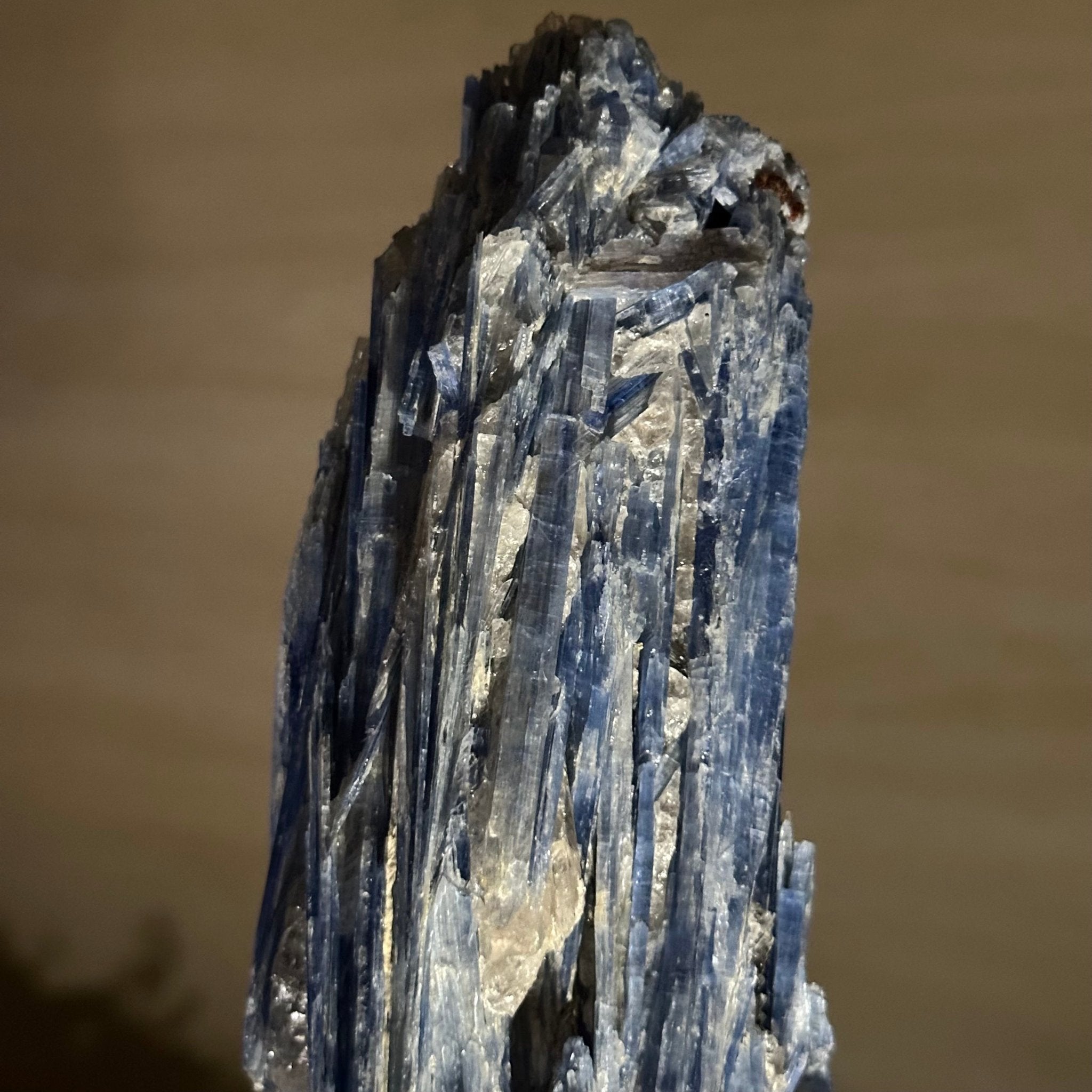 Kyanite Crystal on Metal Stand, 3.7 lbs & 14.2" Tall #6010 - 0020 - Brazil GemsBrazil GemsKyanite Crystal on Metal Stand, 3.7 lbs & 14.2" Tall #6010 - 0020Clusters on Fixed Bases6010 - 0020