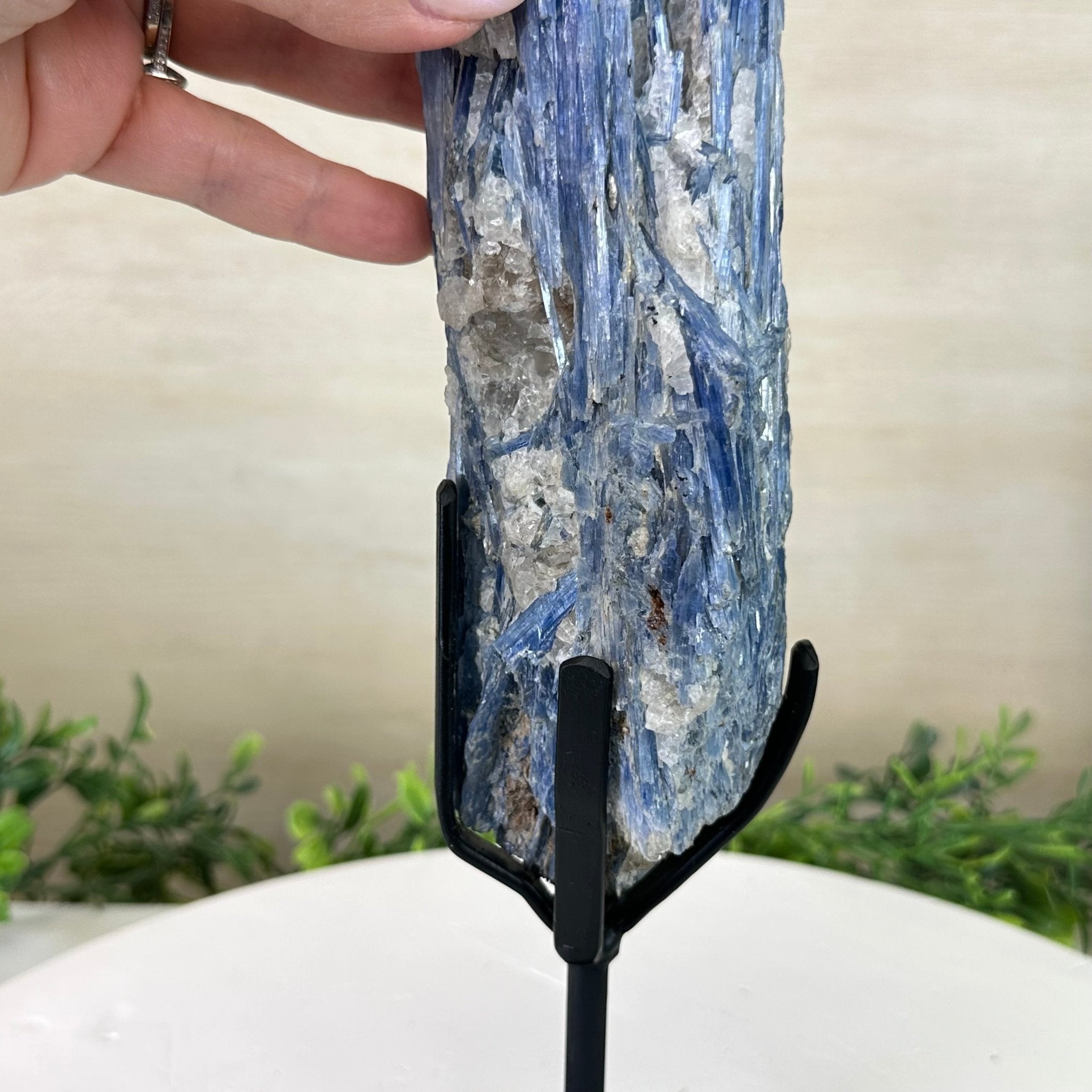 Kyanite Crystal on Metal Stand, 3.7 lbs & 14.2" Tall #6010 - 0020 - Brazil GemsBrazil GemsKyanite Crystal on Metal Stand, 3.7 lbs & 14.2" Tall #6010 - 0020Clusters on Fixed Bases6010 - 0020