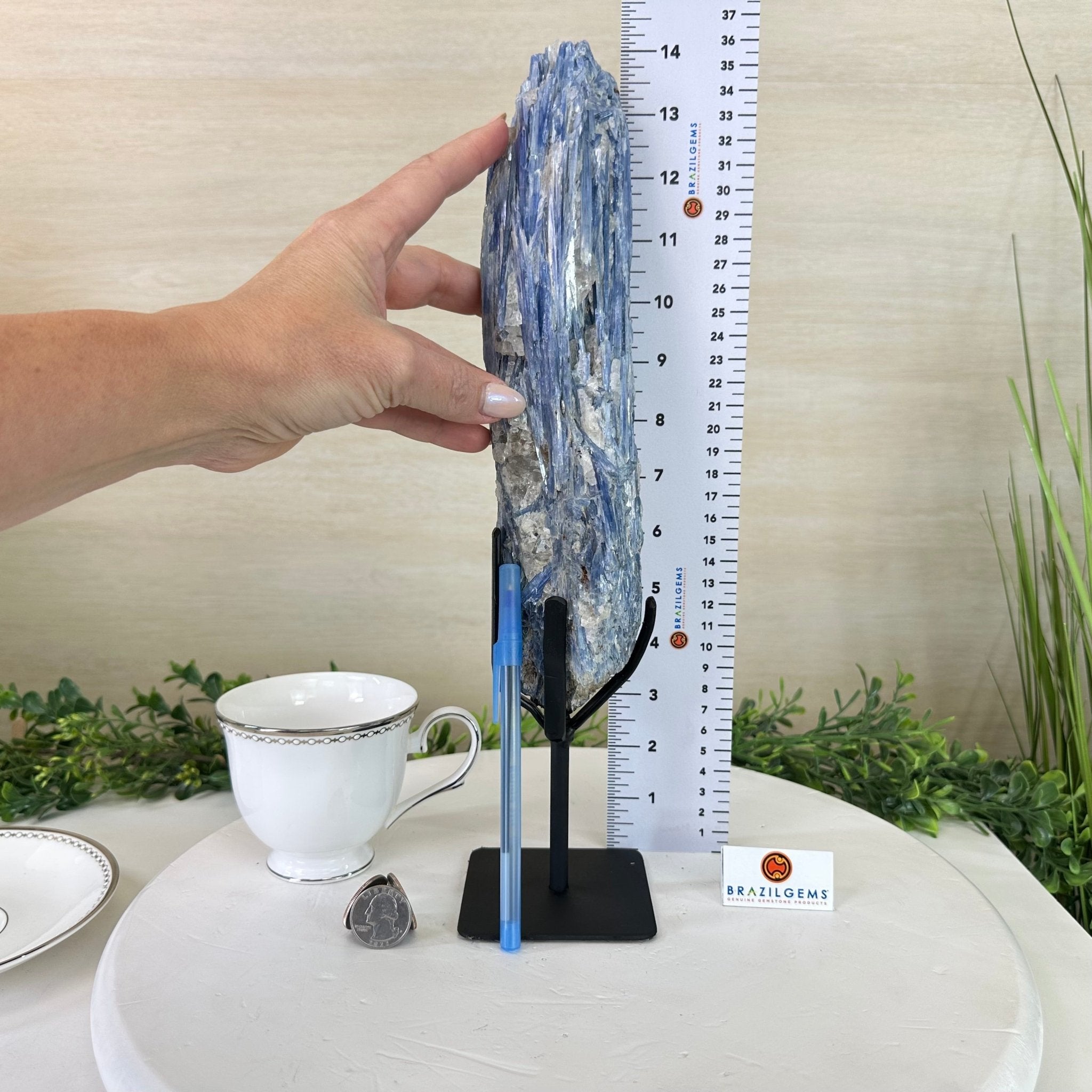 Kyanite Crystal on Metal Stand, 3.7 lbs & 14.2" Tall #6010 - 0020 - Brazil GemsBrazil GemsKyanite Crystal on Metal Stand, 3.7 lbs & 14.2" Tall #6010 - 0020Clusters on Fixed Bases6010 - 0020