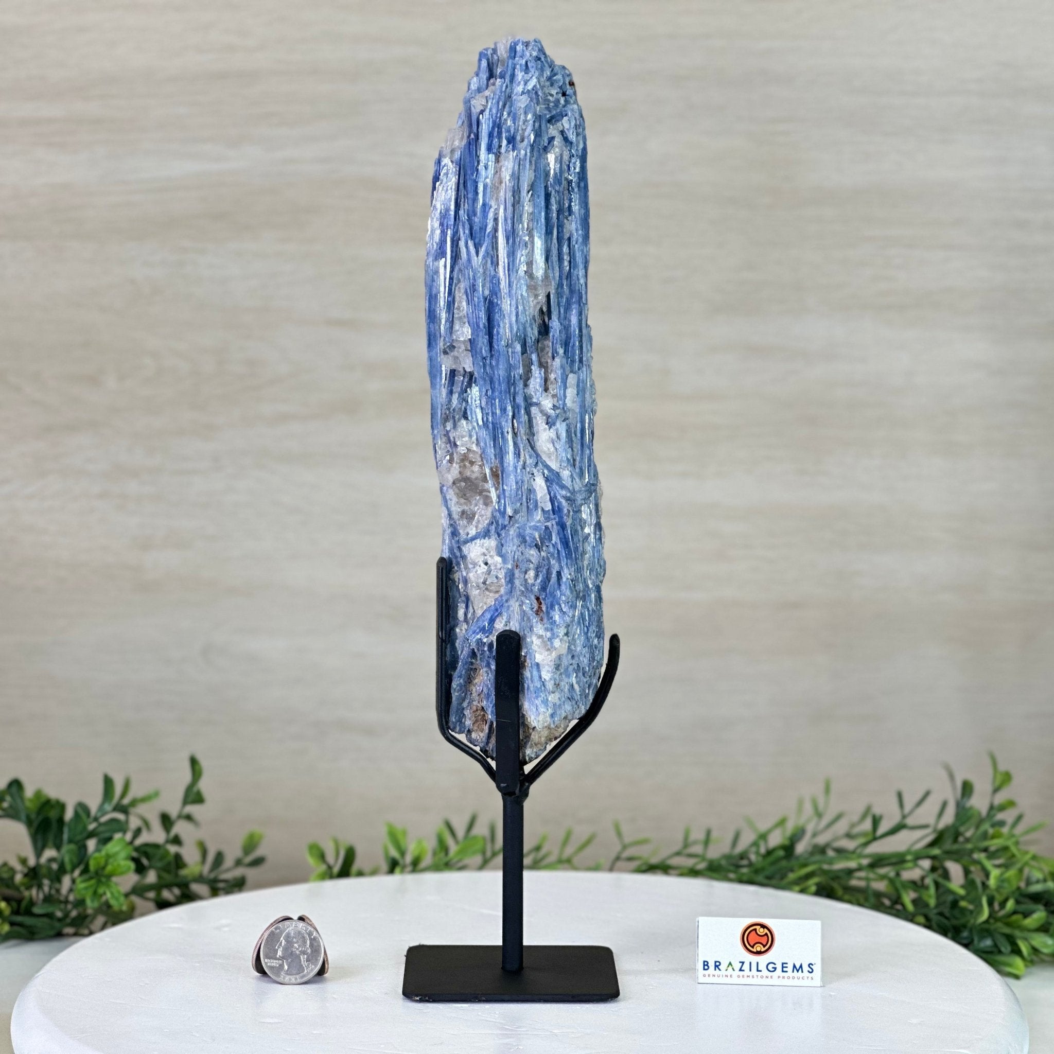 Kyanite Crystal on Metal Stand, 3.7 lbs & 14.2" Tall #6010 - 0020 - Brazil GemsBrazil GemsKyanite Crystal on Metal Stand, 3.7 lbs & 14.2" Tall #6010 - 0020Clusters on Fixed Bases6010 - 0020