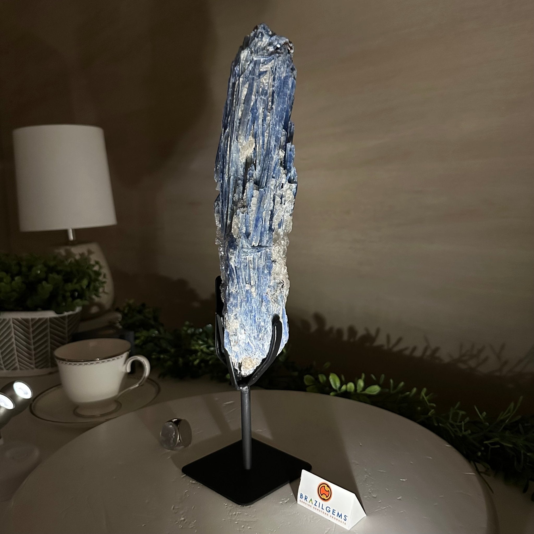 Kyanite Crystal on Metal Stand, 3.7 lbs & 14.2" Tall #6010 - 0020 - Brazil GemsBrazil GemsKyanite Crystal on Metal Stand, 3.7 lbs & 14.2" Tall #6010 - 0020Clusters on Fixed Bases6010 - 0020