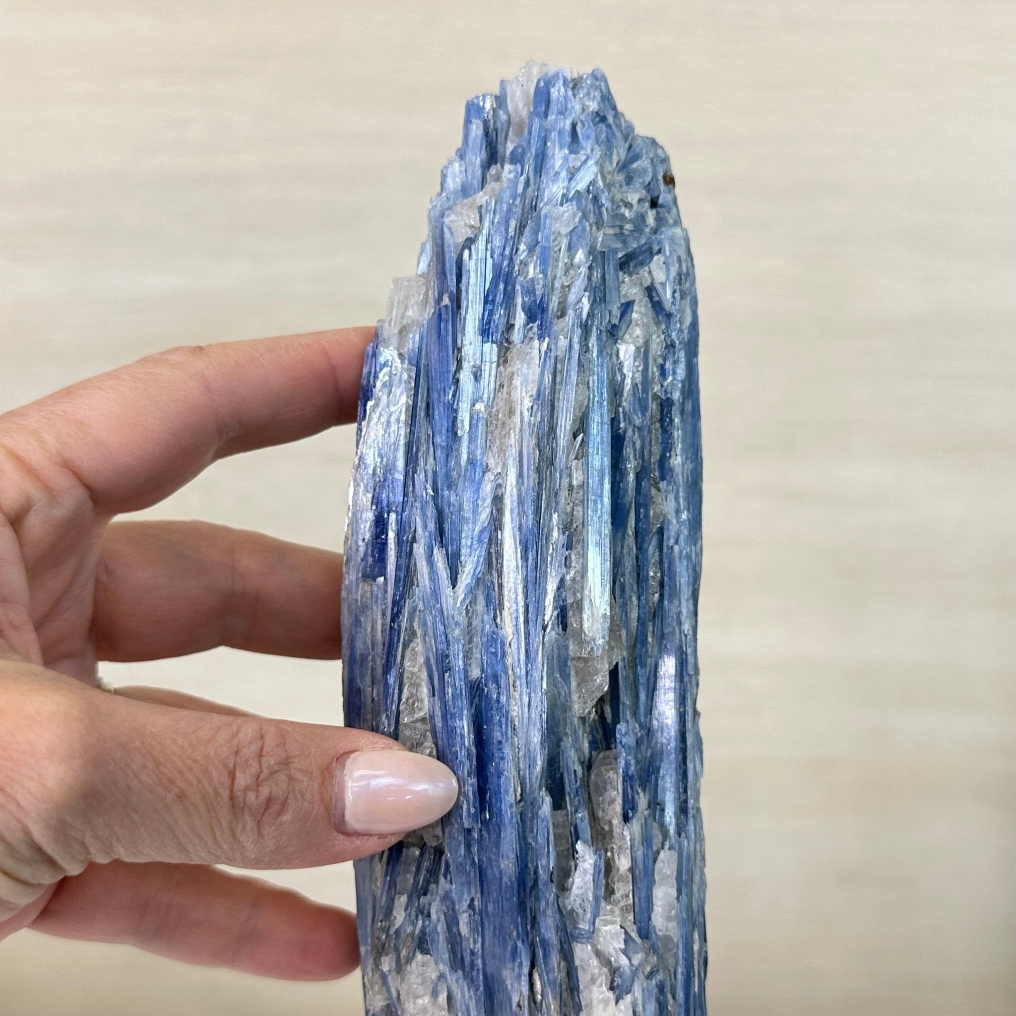 Kyanite Crystal on Metal Stand, 3.7 lbs & 14.2" Tall #6010 - 0020 - Brazil GemsBrazil GemsKyanite Crystal on Metal Stand, 3.7 lbs & 14.2" Tall #6010 - 0020Clusters on Fixed Bases6010 - 0020