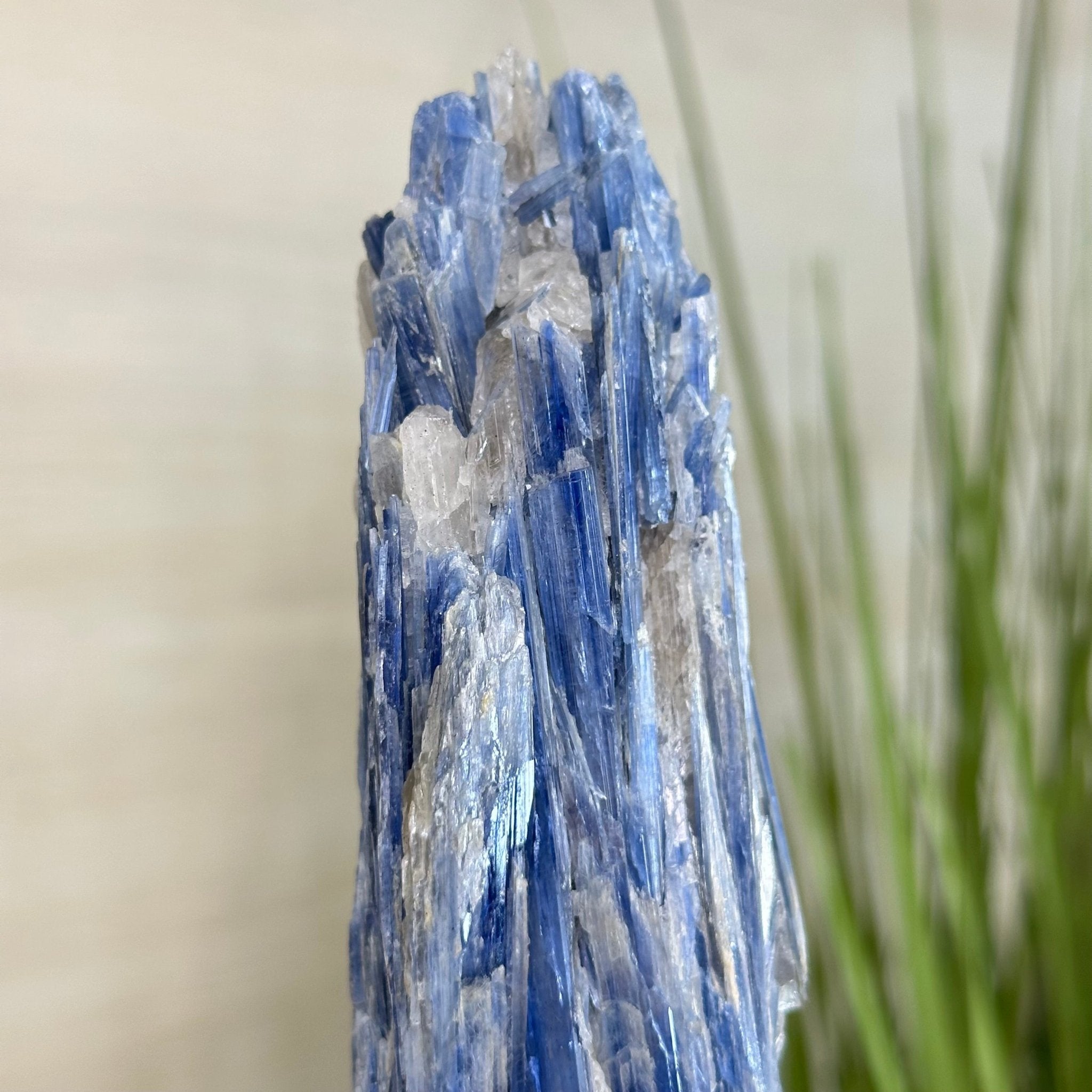 Kyanite Crystal on Metal Stand, 3.7 lbs & 14.2" Tall #6010 - 0020 - Brazil GemsBrazil GemsKyanite Crystal on Metal Stand, 3.7 lbs & 14.2" Tall #6010 - 0020Clusters on Fixed Bases6010 - 0020