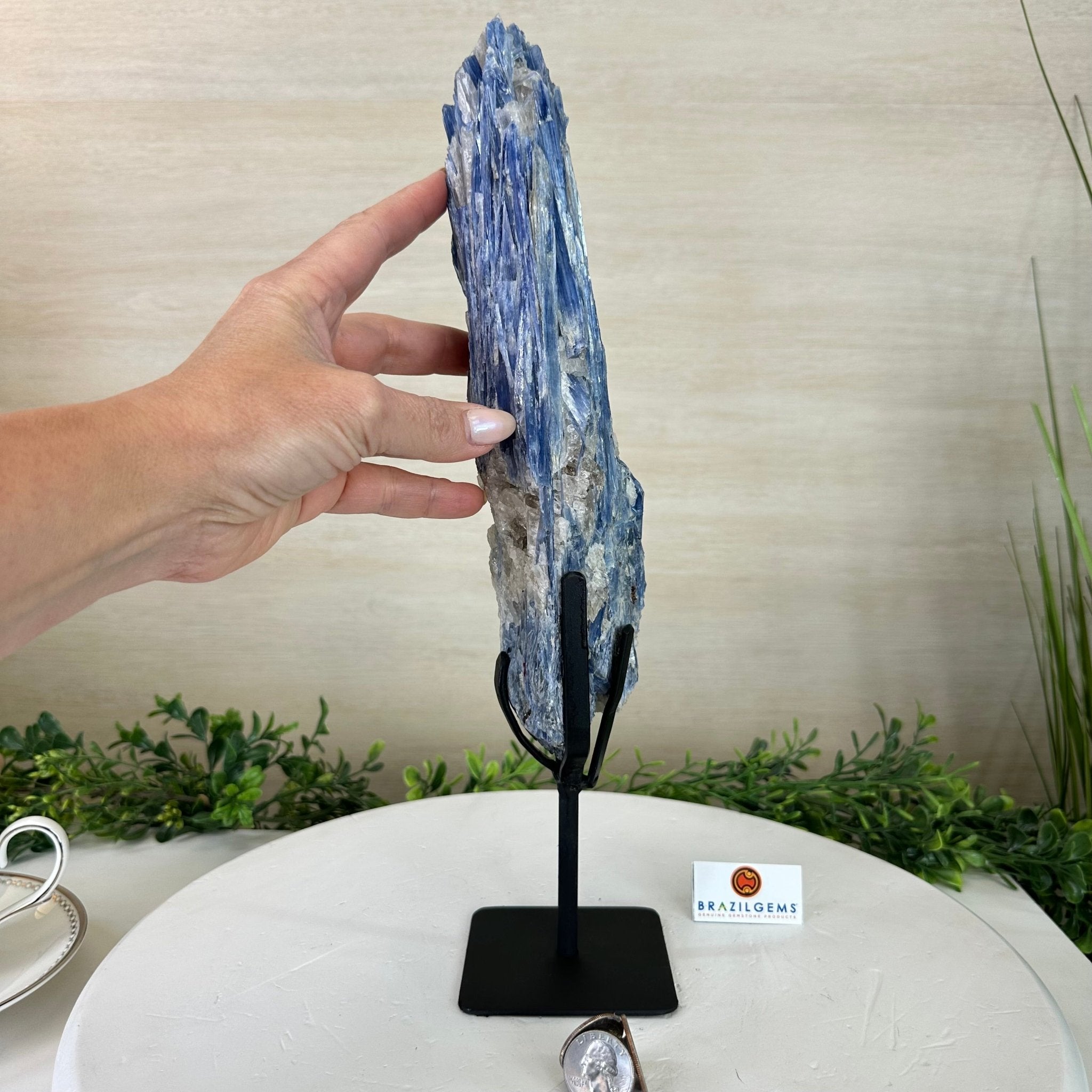 Kyanite Crystal on Metal Stand, 3.7 lbs & 14.2" Tall #6010 - 0020 - Brazil GemsBrazil GemsKyanite Crystal on Metal Stand, 3.7 lbs & 14.2" Tall #6010 - 0020Clusters on Fixed Bases6010 - 0020