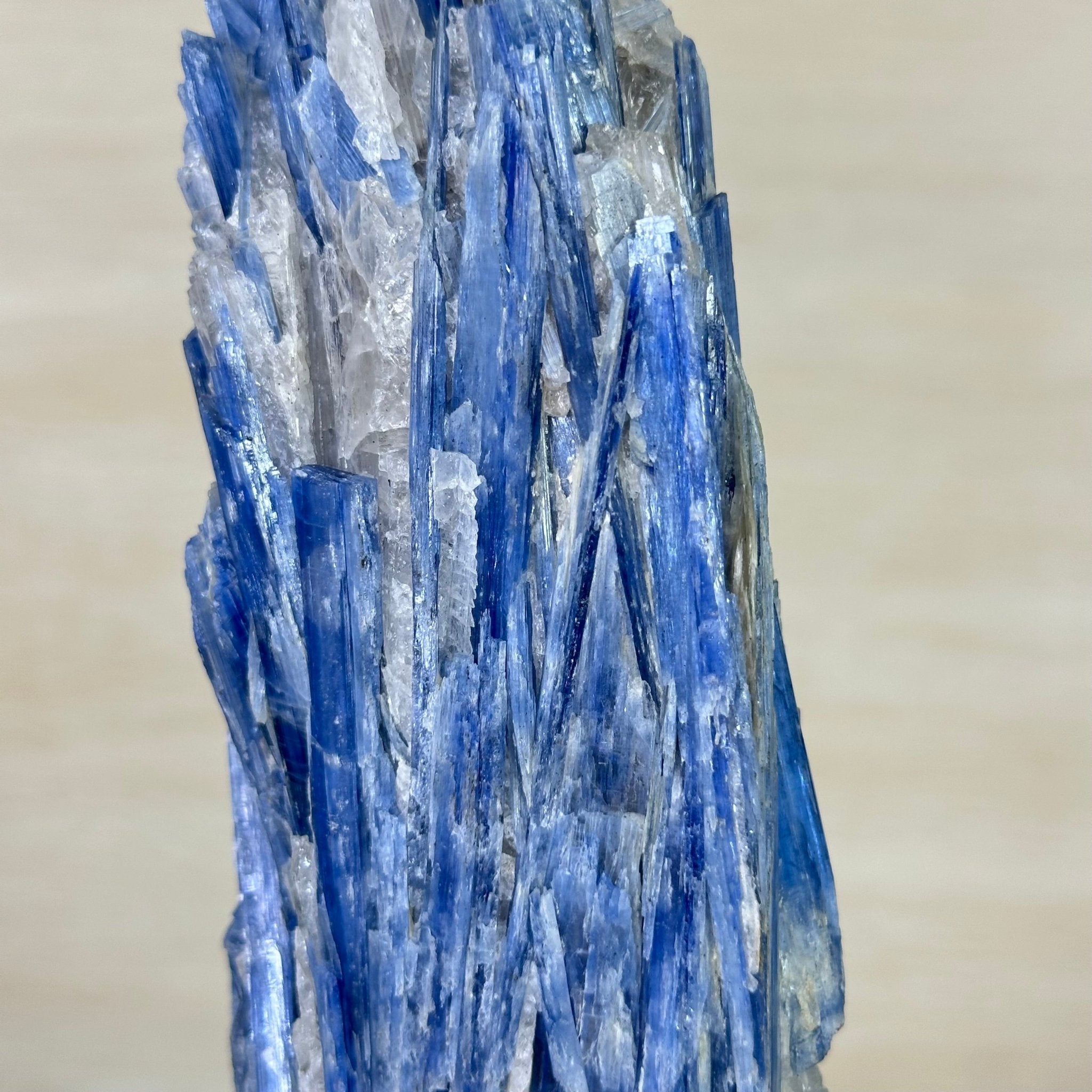 Kyanite Crystal on Metal Stand, 3.7 lbs & 14.2" Tall #6010 - 0020 - Brazil GemsBrazil GemsKyanite Crystal on Metal Stand, 3.7 lbs & 14.2" Tall #6010 - 0020Clusters on Fixed Bases6010 - 0020