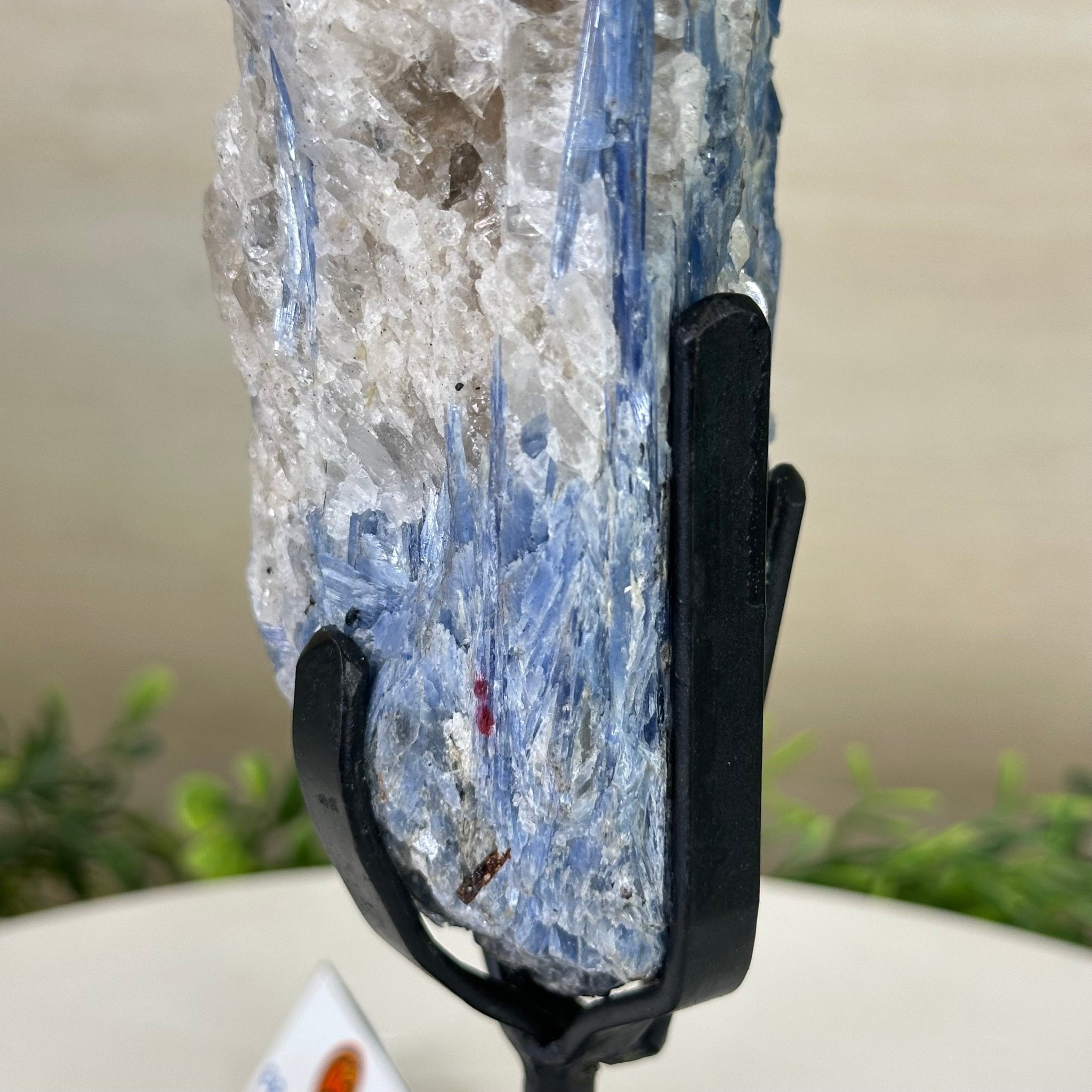 Kyanite Crystal on Metal Stand, 3.7 lbs & 14.2" Tall #6010 - 0020 - Brazil GemsBrazil GemsKyanite Crystal on Metal Stand, 3.7 lbs & 14.2" Tall #6010 - 0020Clusters on Fixed Bases6010 - 0020