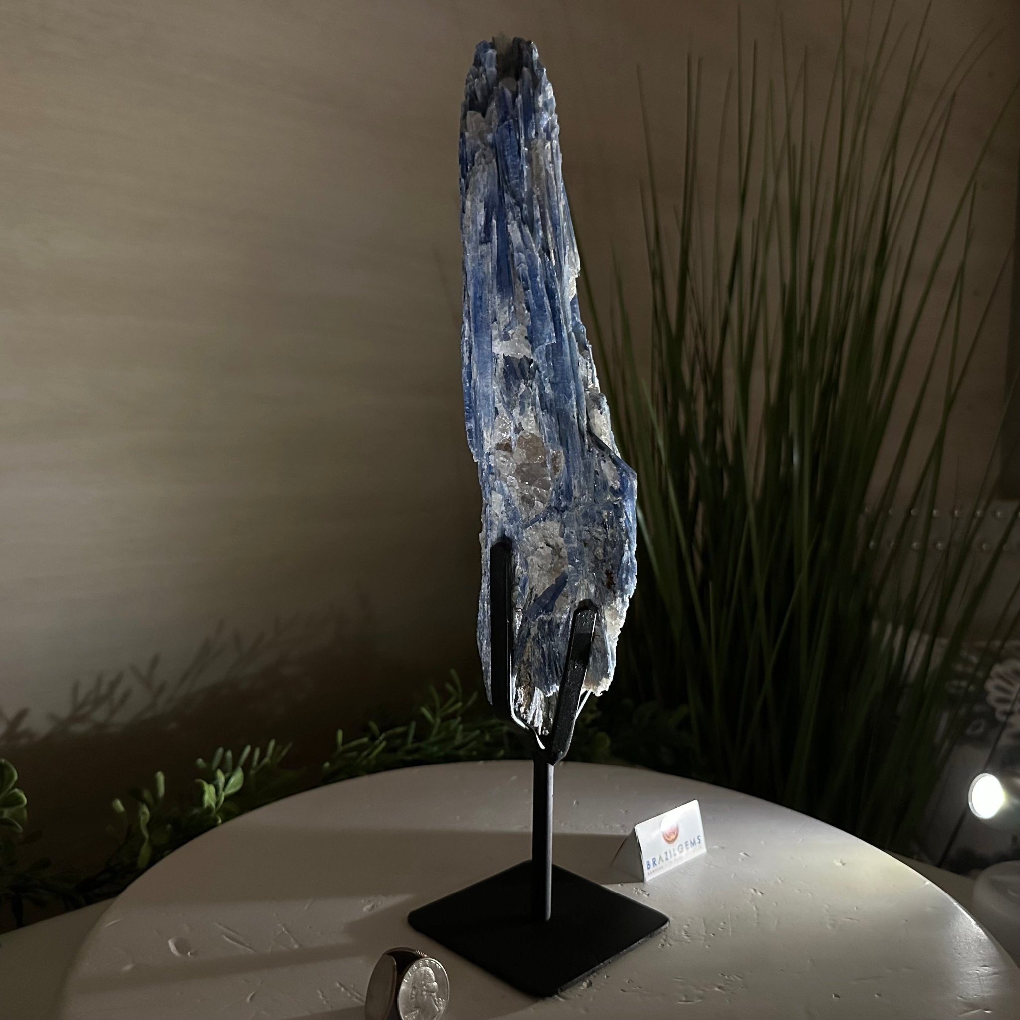 Kyanite Crystal on Metal Stand, 3.7 lbs & 14.2" Tall #6010 - 0020 - Brazil GemsBrazil GemsKyanite Crystal on Metal Stand, 3.7 lbs & 14.2" Tall #6010 - 0020Clusters on Fixed Bases6010 - 0020