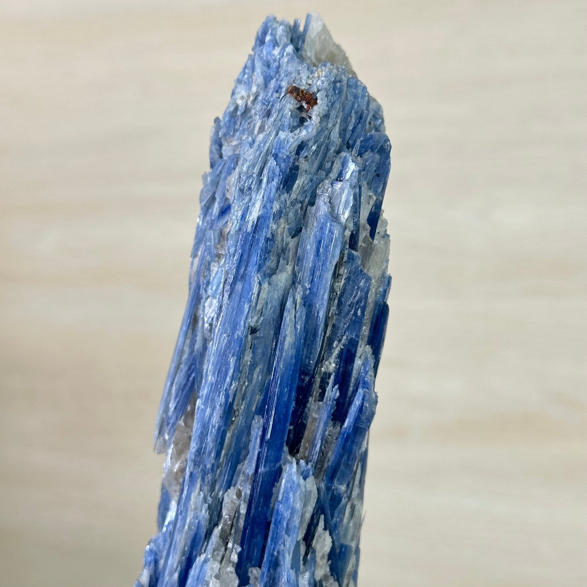 Kyanite Crystal on Metal Stand, 3.7 lbs & 14.2" Tall #6010 - 0020 - Brazil GemsBrazil GemsKyanite Crystal on Metal Stand, 3.7 lbs & 14.2" Tall #6010 - 0020Clusters on Fixed Bases6010 - 0020