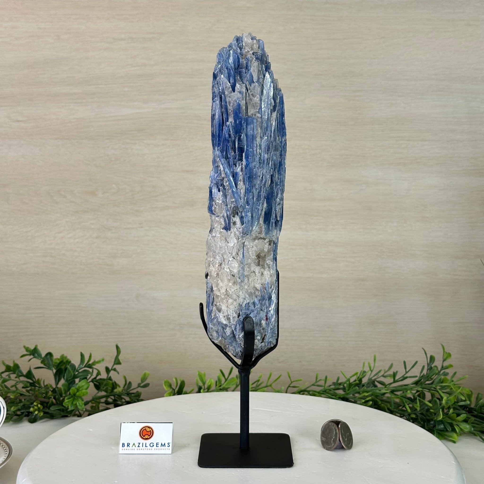 Kyanite Crystal on Metal Stand, 3.7 lbs & 14.2" Tall #6010 - 0020 - Brazil GemsBrazil GemsKyanite Crystal on Metal Stand, 3.7 lbs & 14.2" Tall #6010 - 0020Clusters on Fixed Bases6010 - 0020