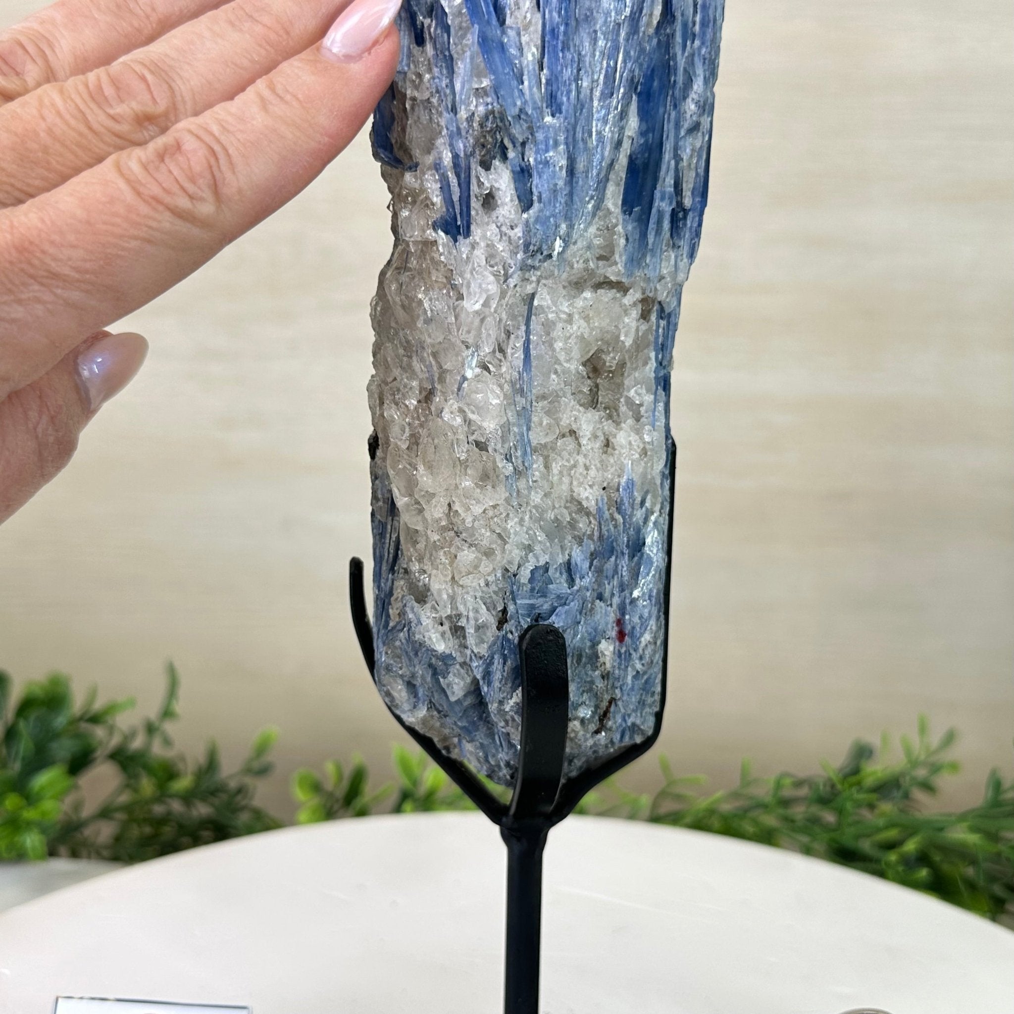 Kyanite Crystal on Metal Stand, 3.7 lbs & 14.2" Tall #6010 - 0020 - Brazil GemsBrazil GemsKyanite Crystal on Metal Stand, 3.7 lbs & 14.2" Tall #6010 - 0020Clusters on Fixed Bases6010 - 0020