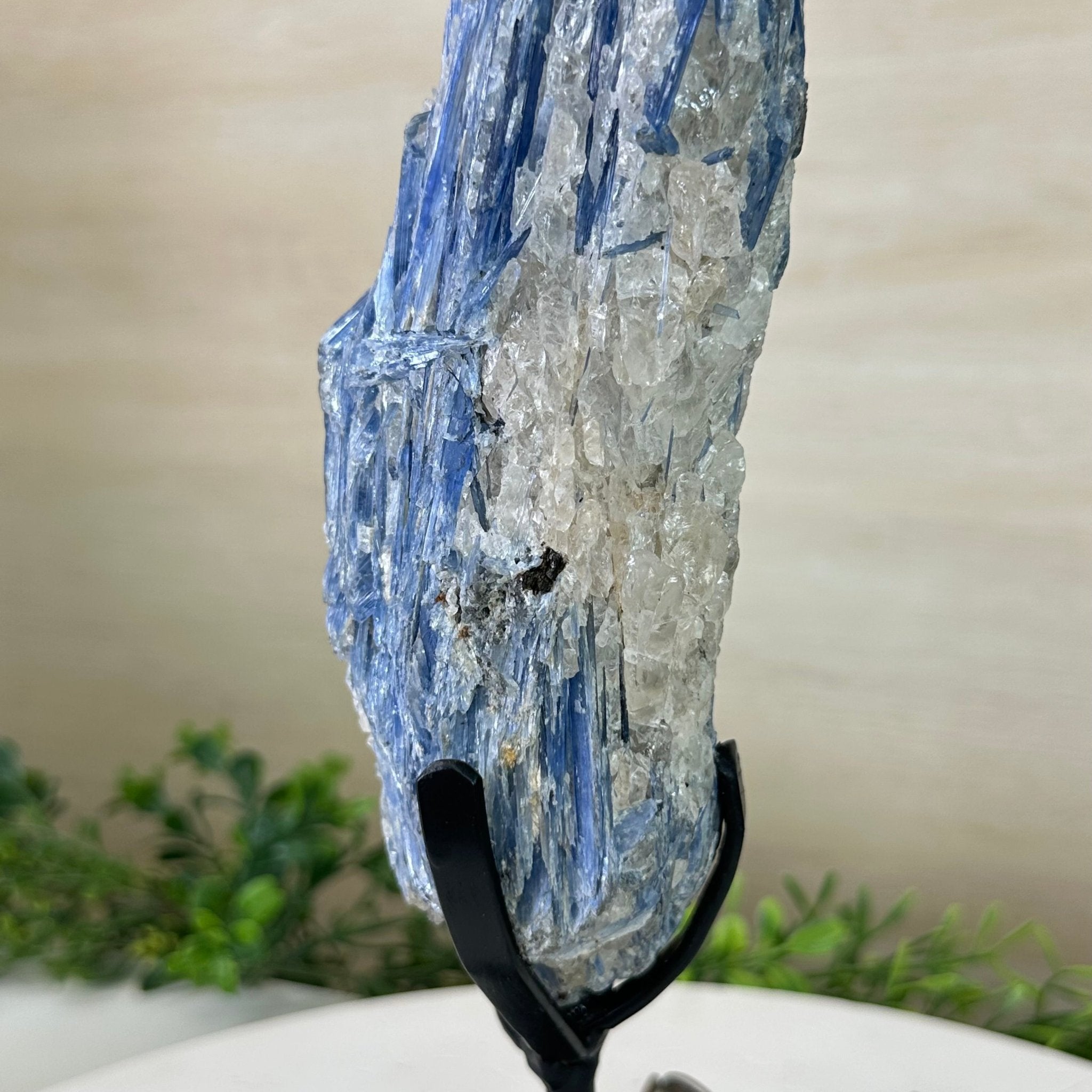 Kyanite Crystal on Metal Stand, 3.7 lbs & 14.2" Tall #6010 - 0020 - Brazil GemsBrazil GemsKyanite Crystal on Metal Stand, 3.7 lbs & 14.2" Tall #6010 - 0020Clusters on Fixed Bases6010 - 0020