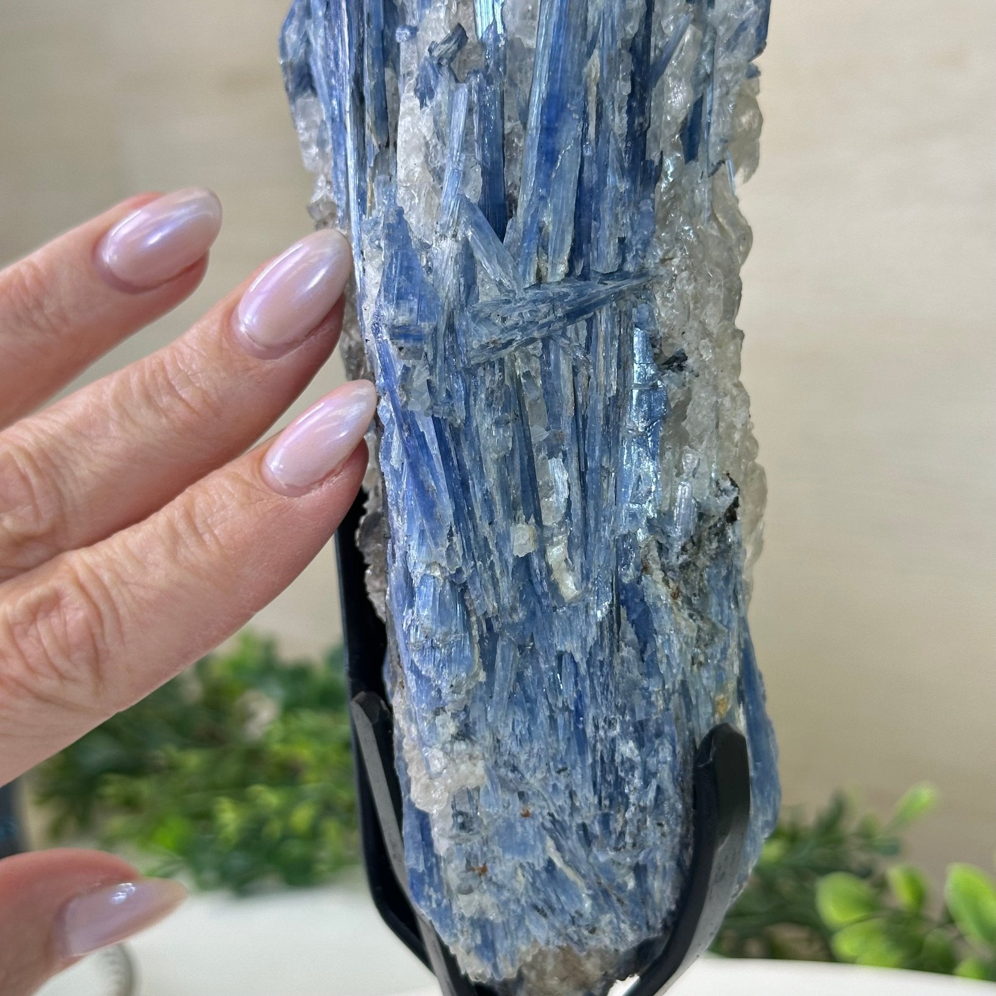 Kyanite Crystal on Metal Stand, 3.7 lbs & 14.2" Tall #6010 - 0020 - Brazil GemsBrazil GemsKyanite Crystal on Metal Stand, 3.7 lbs & 14.2" Tall #6010 - 0020Clusters on Fixed Bases6010 - 0020