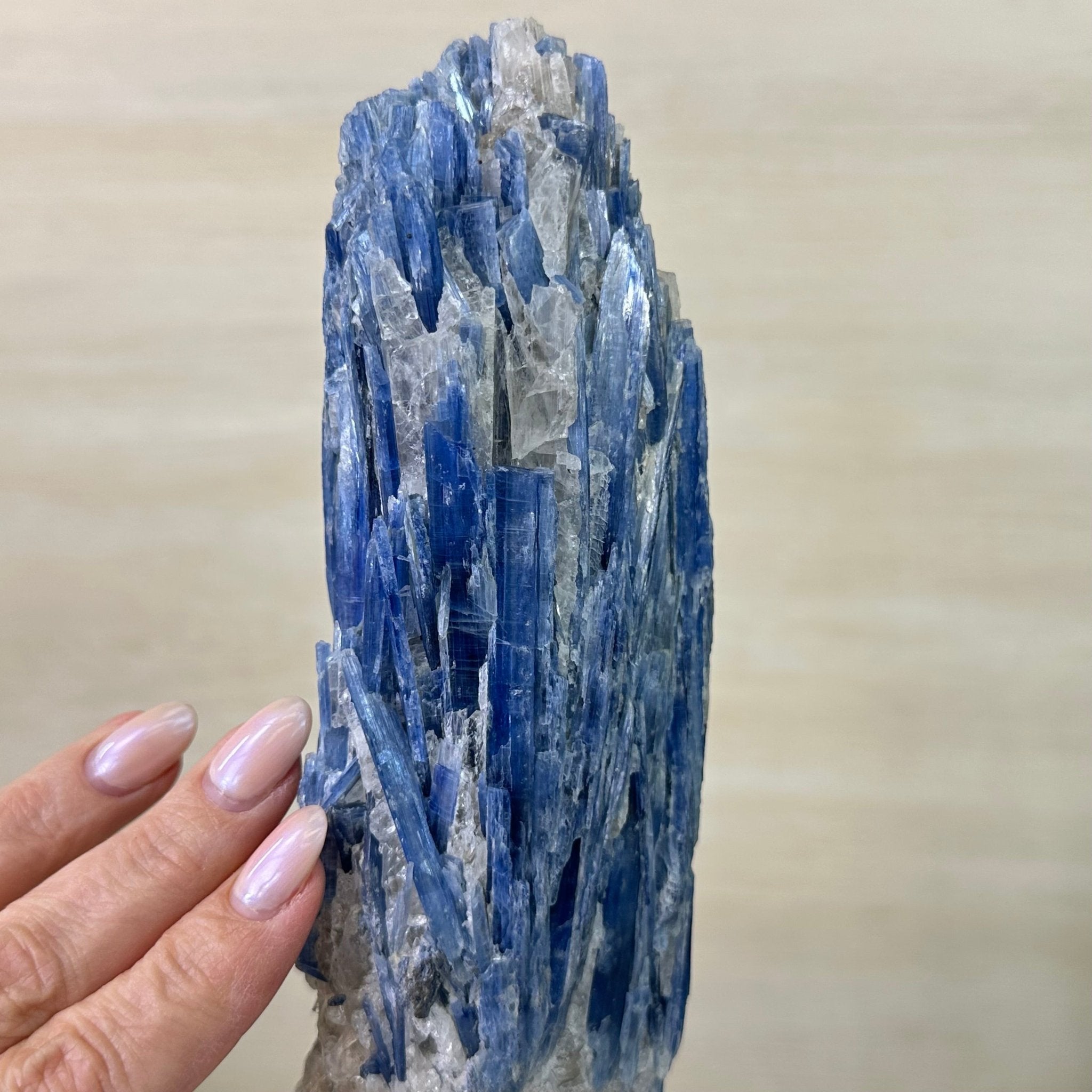 Kyanite Crystal on Metal Stand, 3.7 lbs & 14.2" Tall #6010 - 0020 - Brazil GemsBrazil GemsKyanite Crystal on Metal Stand, 3.7 lbs & 14.2" Tall #6010 - 0020Clusters on Fixed Bases6010 - 0020