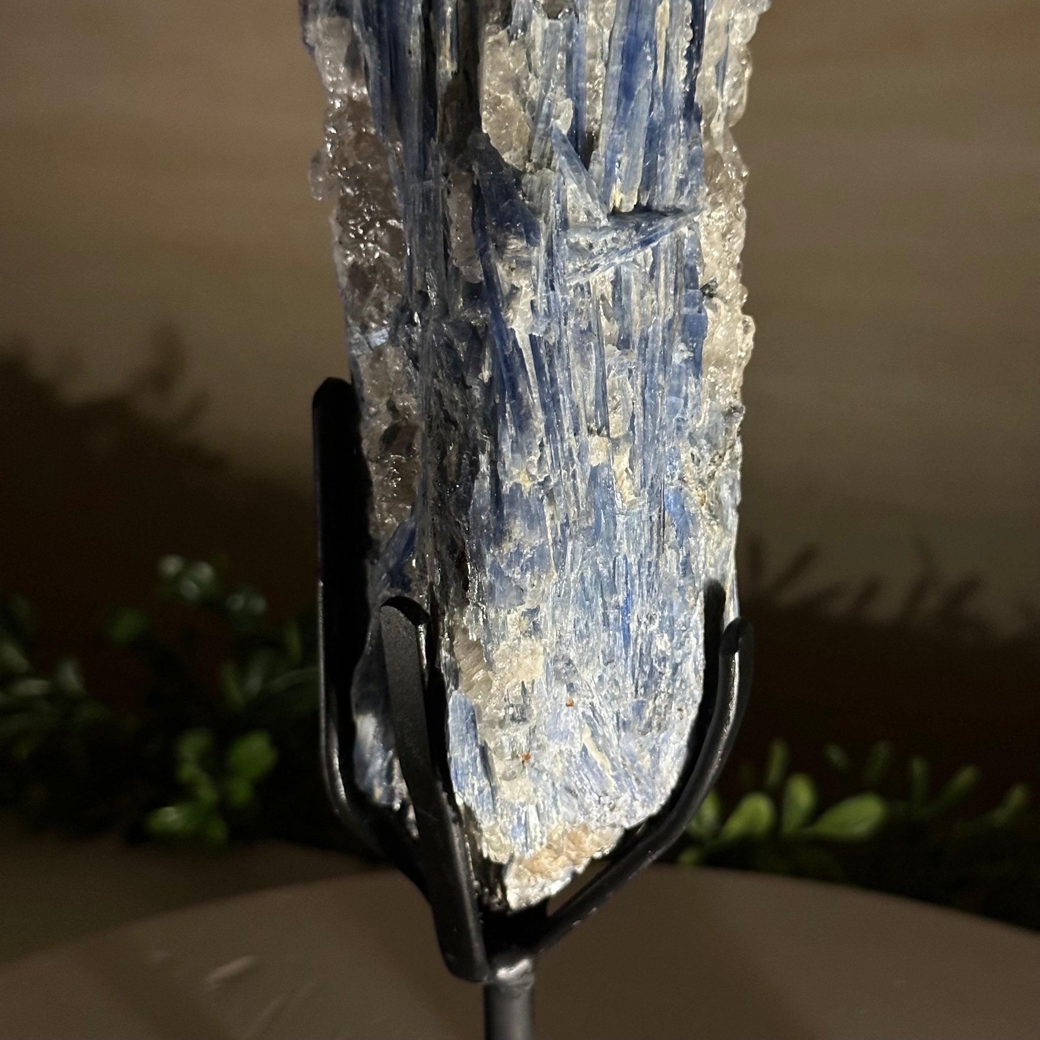 Kyanite Crystal on Metal Stand, 3.7 lbs & 14.2" Tall #6010 - 0020 - Brazil GemsBrazil GemsKyanite Crystal on Metal Stand, 3.7 lbs & 14.2" Tall #6010 - 0020Clusters on Fixed Bases6010 - 0020