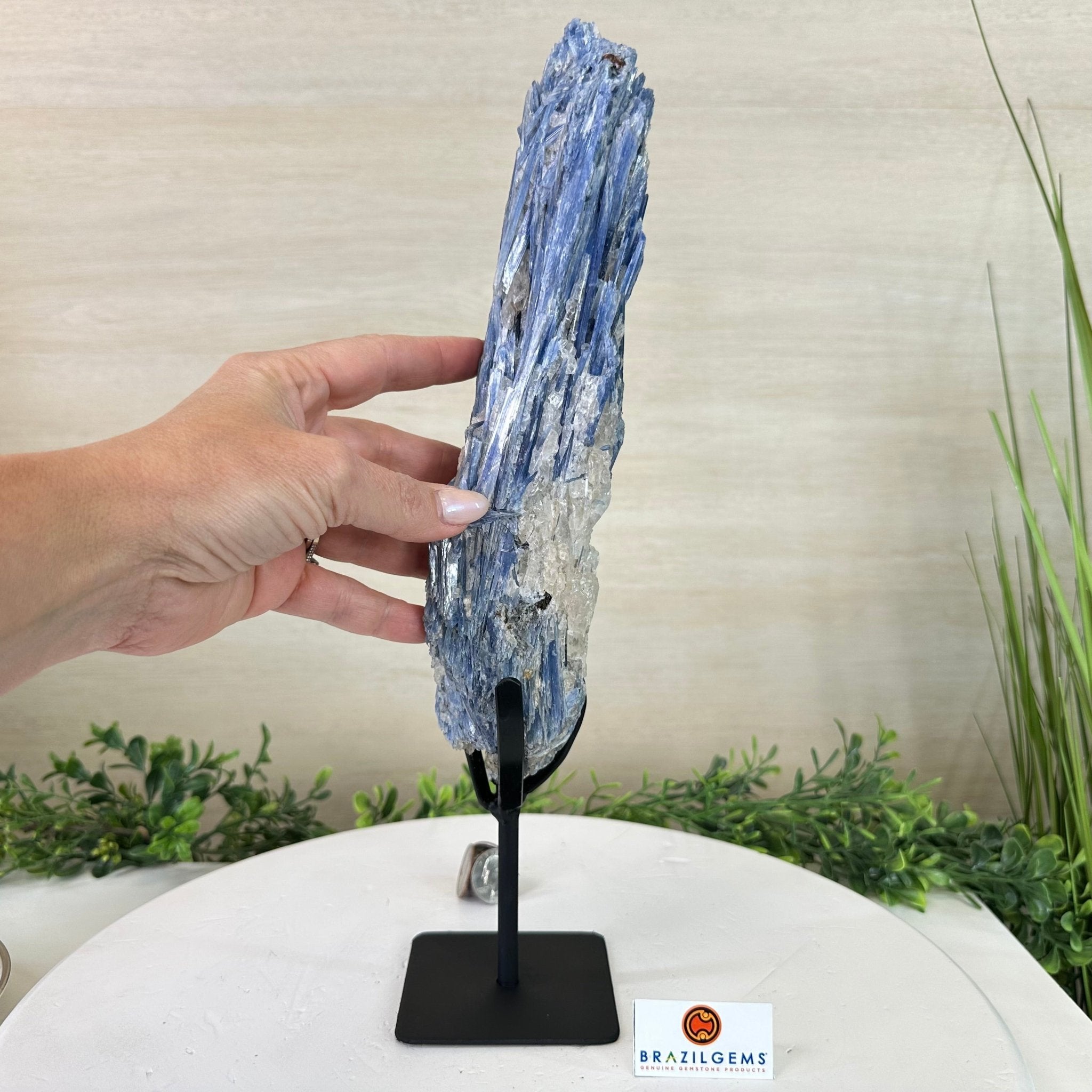 Kyanite Crystal on Metal Stand, 3.7 lbs & 14.2" Tall #6010 - 0020 - Brazil GemsBrazil GemsKyanite Crystal on Metal Stand, 3.7 lbs & 14.2" Tall #6010 - 0020Clusters on Fixed Bases6010 - 0020