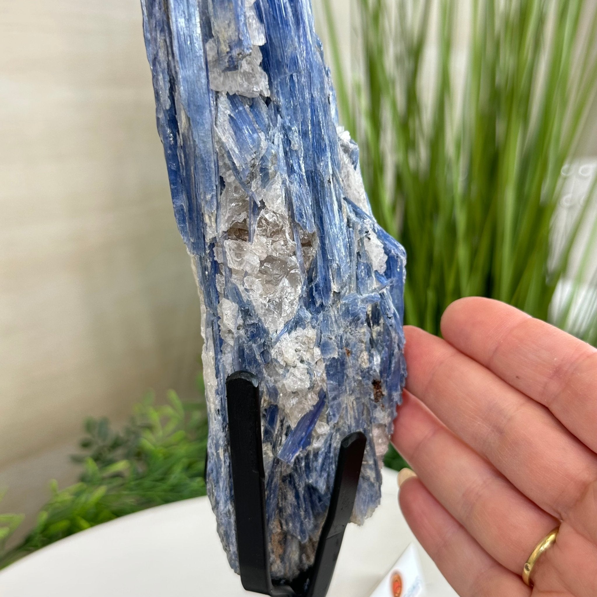 Kyanite Crystal on Metal Stand, 3.7 lbs & 14.2" Tall #6010 - 0020 - Brazil GemsBrazil GemsKyanite Crystal on Metal Stand, 3.7 lbs & 14.2" Tall #6010 - 0020Clusters on Fixed Bases6010 - 0020