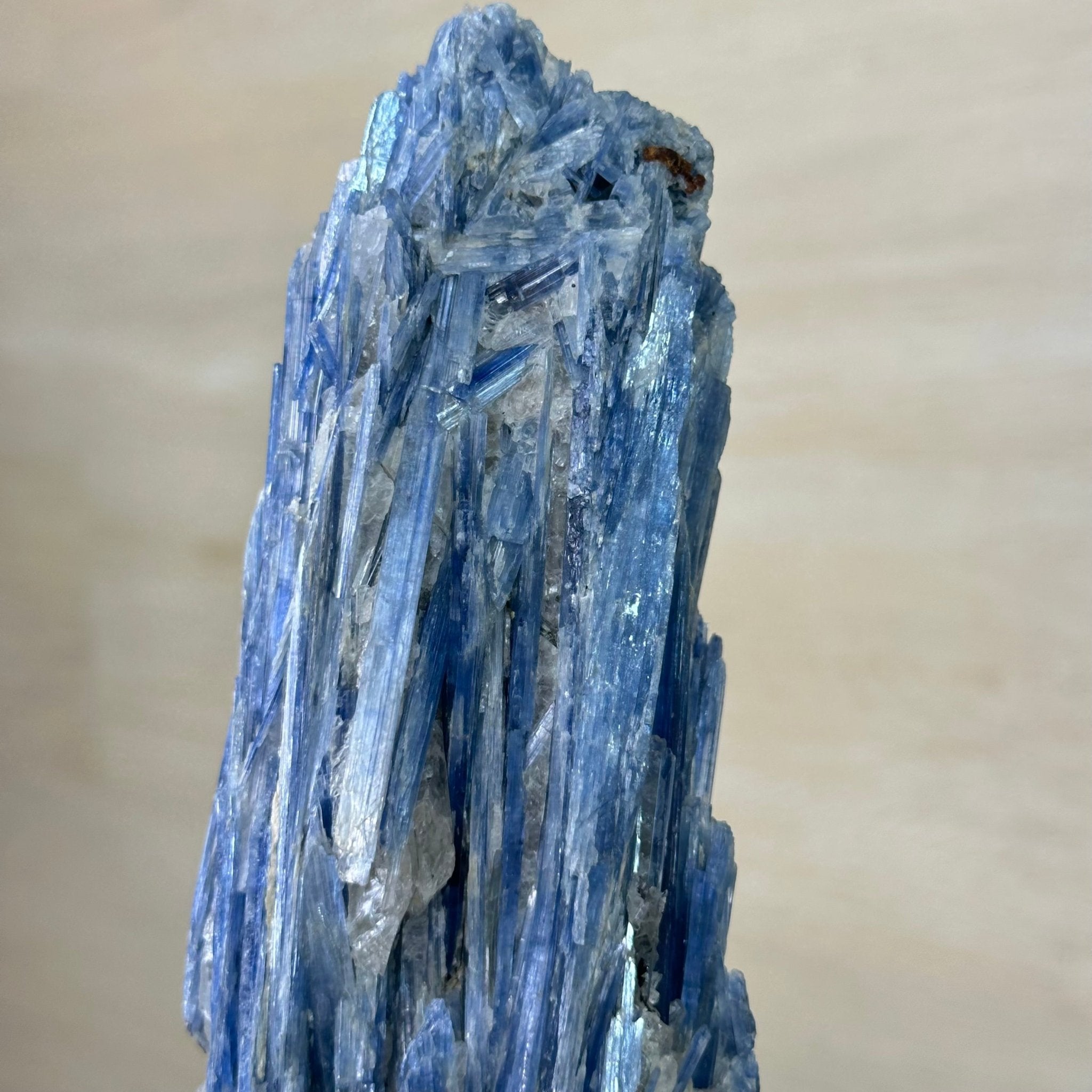 Kyanite Crystal on Metal Stand, 3.7 lbs & 14.2" Tall #6010 - 0020 - Brazil GemsBrazil GemsKyanite Crystal on Metal Stand, 3.7 lbs & 14.2" Tall #6010 - 0020Clusters on Fixed Bases6010 - 0020