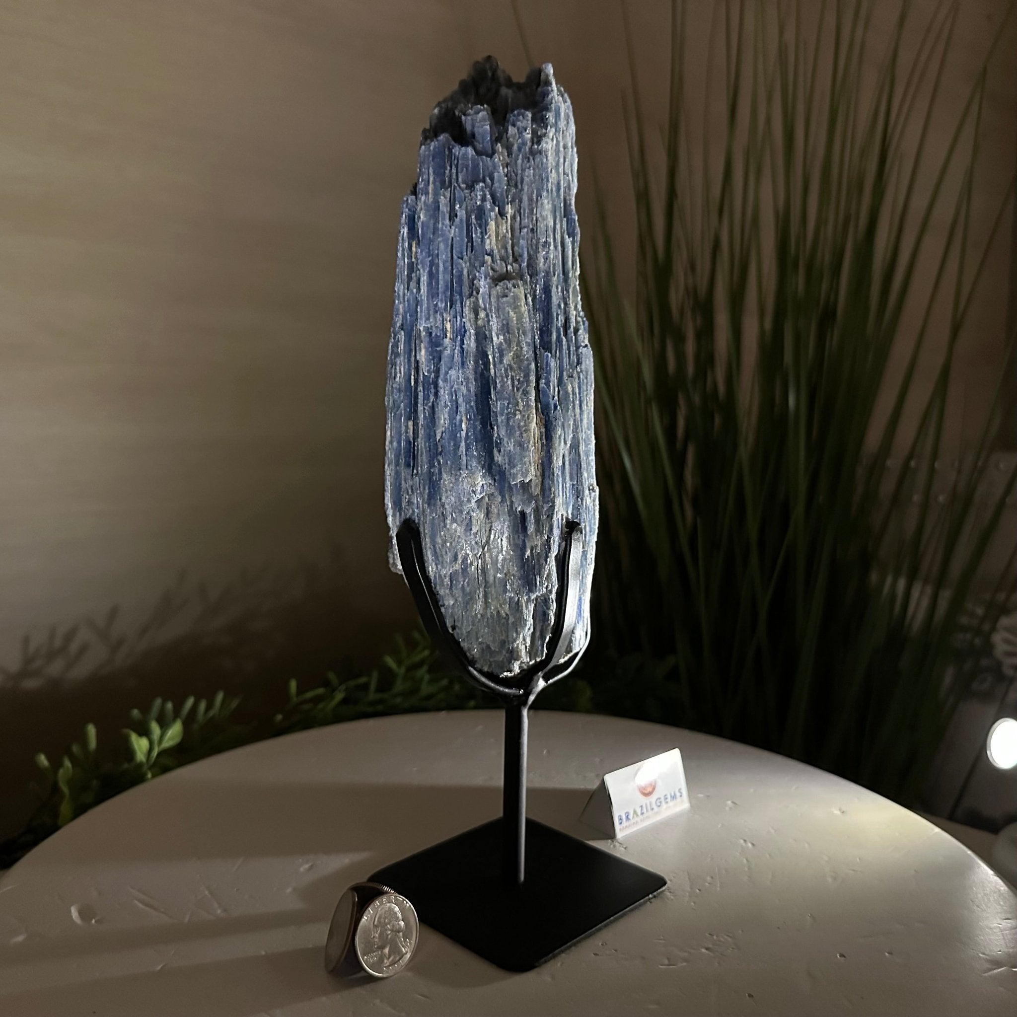 Kyanite Crystal on Metal Stand, 3.9 lbs & 11.3" Tall #6010 - 0021 - Brazil GemsBrazil GemsKyanite Crystal on Metal Stand, 3.9 lbs & 11.3" Tall #6010 - 0021Clusters on Fixed Bases6010 - 0021