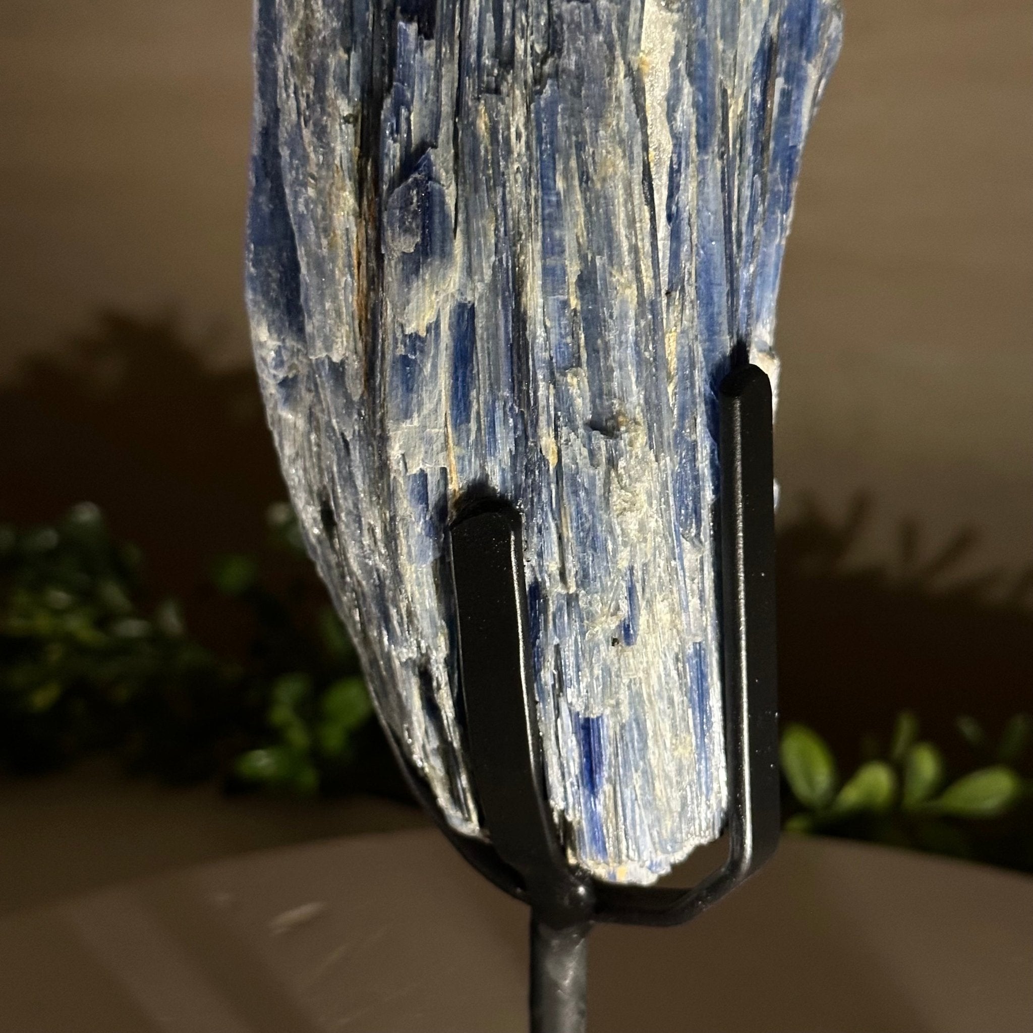 Kyanite Crystal on Metal Stand, 3.9 lbs & 11.3" Tall #6010 - 0021 - Brazil GemsBrazil GemsKyanite Crystal on Metal Stand, 3.9 lbs & 11.3" Tall #6010 - 0021Clusters on Fixed Bases6010 - 0021