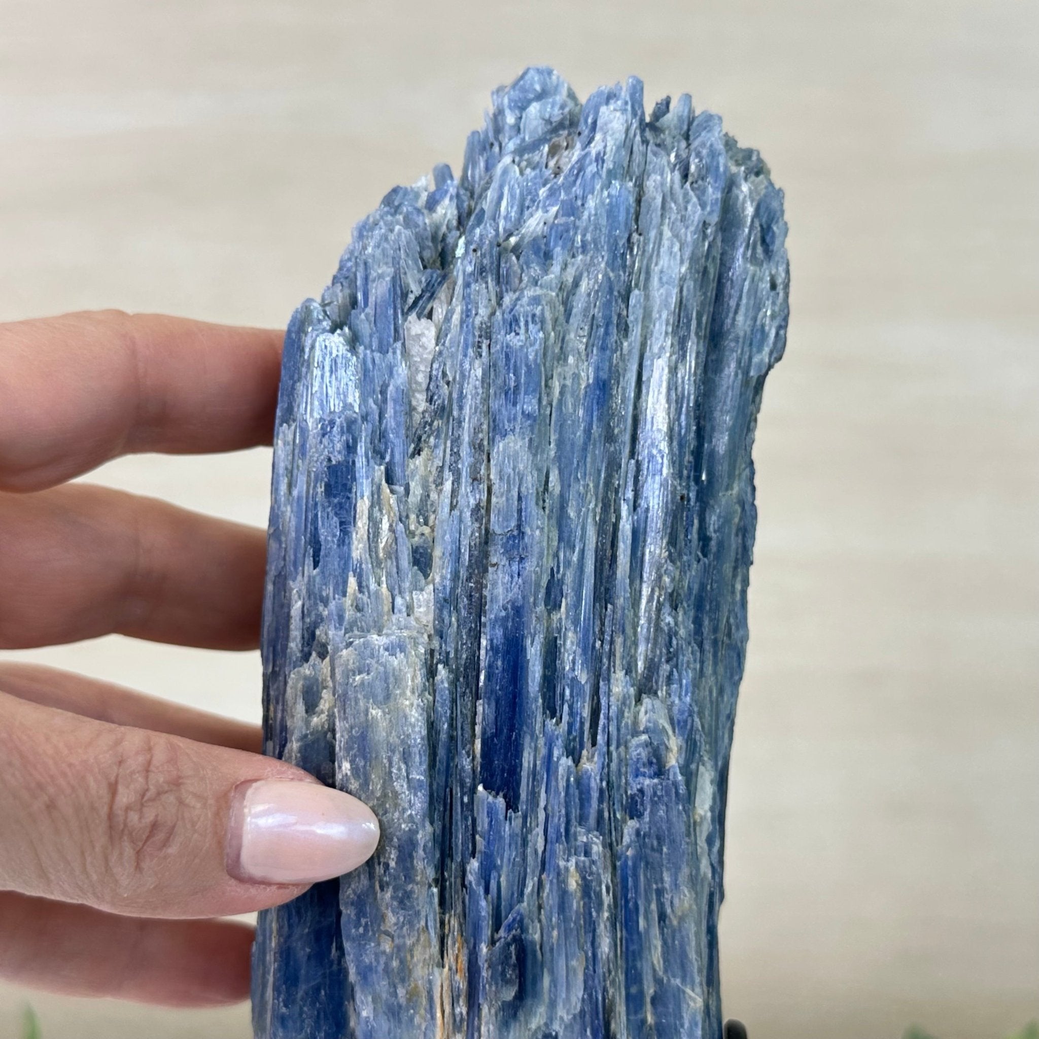 Kyanite Crystal on Metal Stand, 3.9 lbs & 11.3" Tall #6010 - 0021 - Brazil GemsBrazil GemsKyanite Crystal on Metal Stand, 3.9 lbs & 11.3" Tall #6010 - 0021Clusters on Fixed Bases6010 - 0021