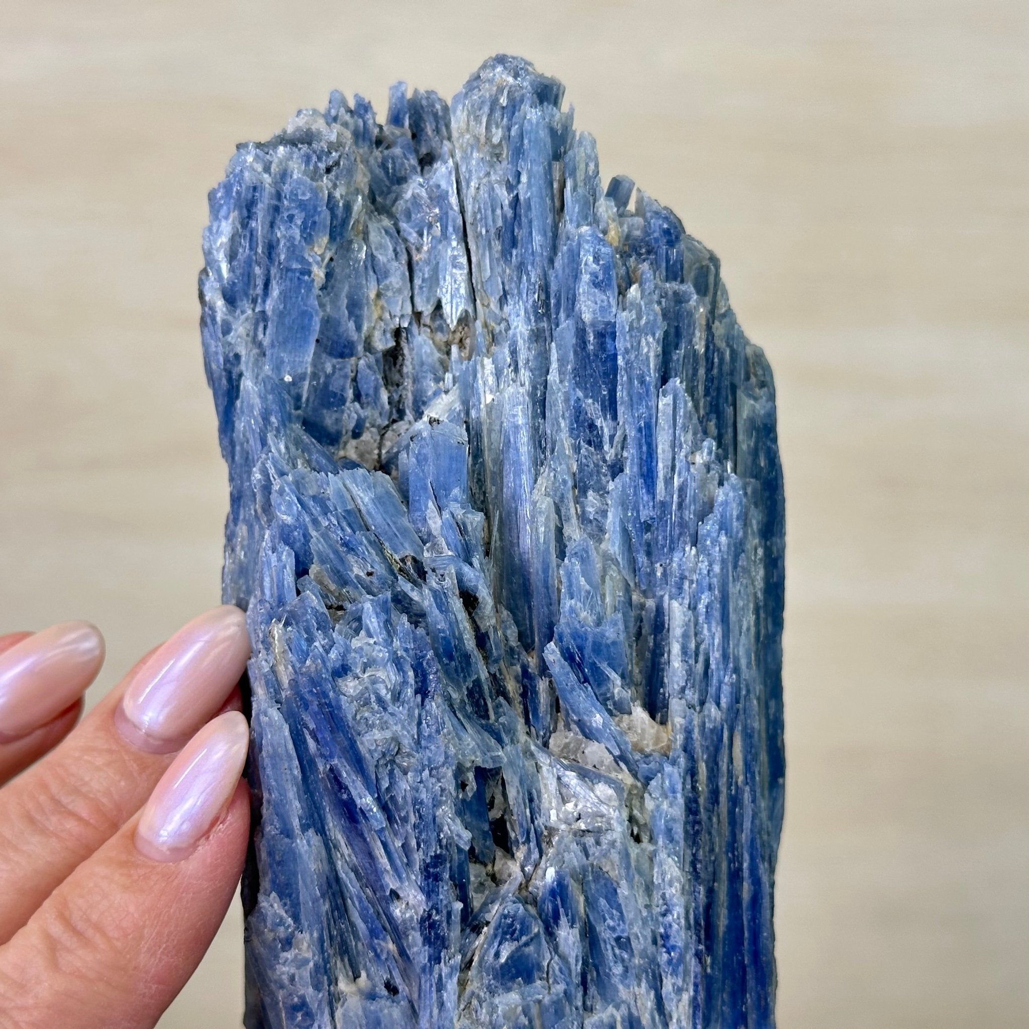 Kyanite Crystal on Metal Stand, 3.9 lbs & 11.3" Tall #6010 - 0021 - Brazil GemsBrazil GemsKyanite Crystal on Metal Stand, 3.9 lbs & 11.3" Tall #6010 - 0021Clusters on Fixed Bases6010 - 0021