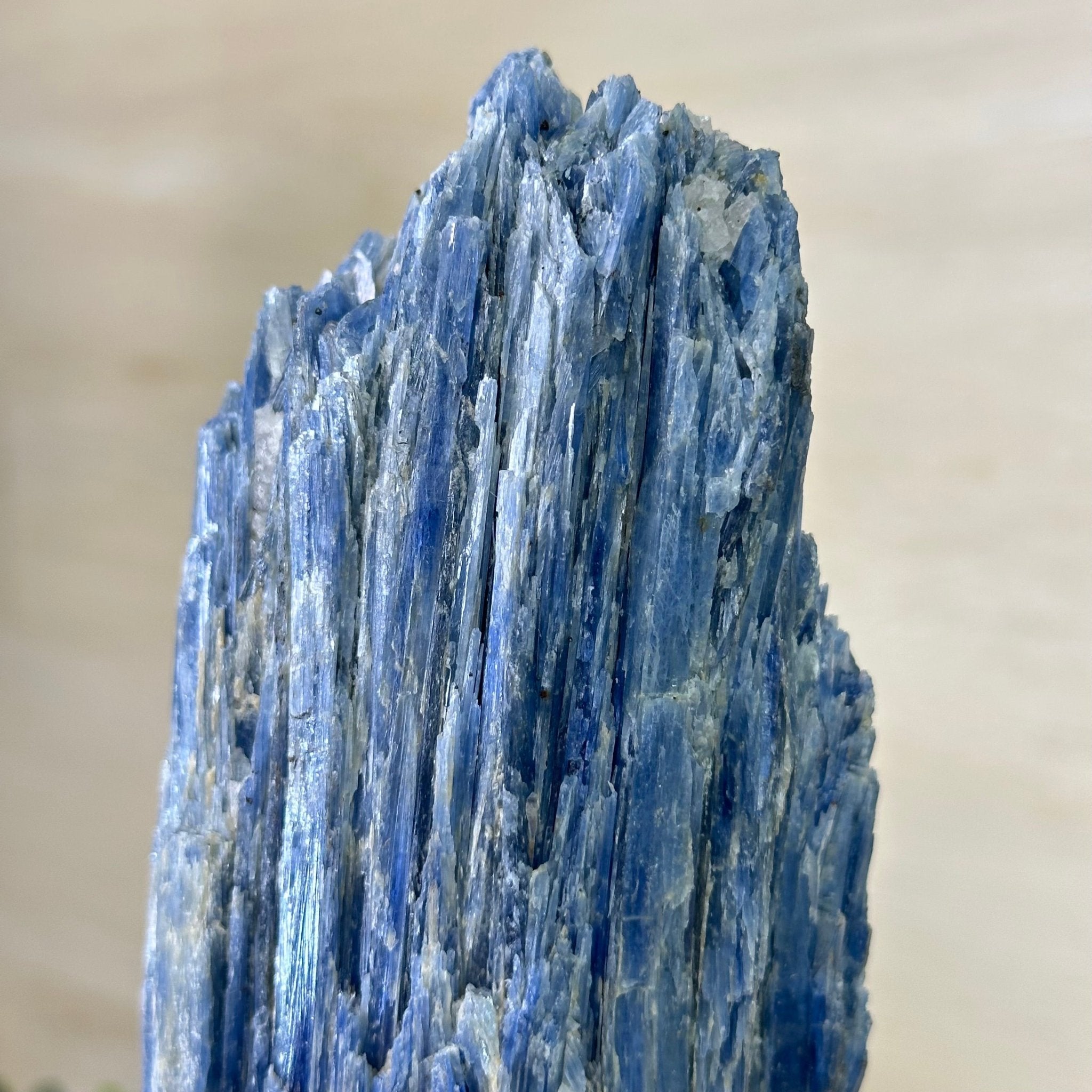 Kyanite Crystal on Metal Stand, 3.9 lbs & 11.3" Tall #6010 - 0021 - Brazil GemsBrazil GemsKyanite Crystal on Metal Stand, 3.9 lbs & 11.3" Tall #6010 - 0021Clusters on Fixed Bases6010 - 0021