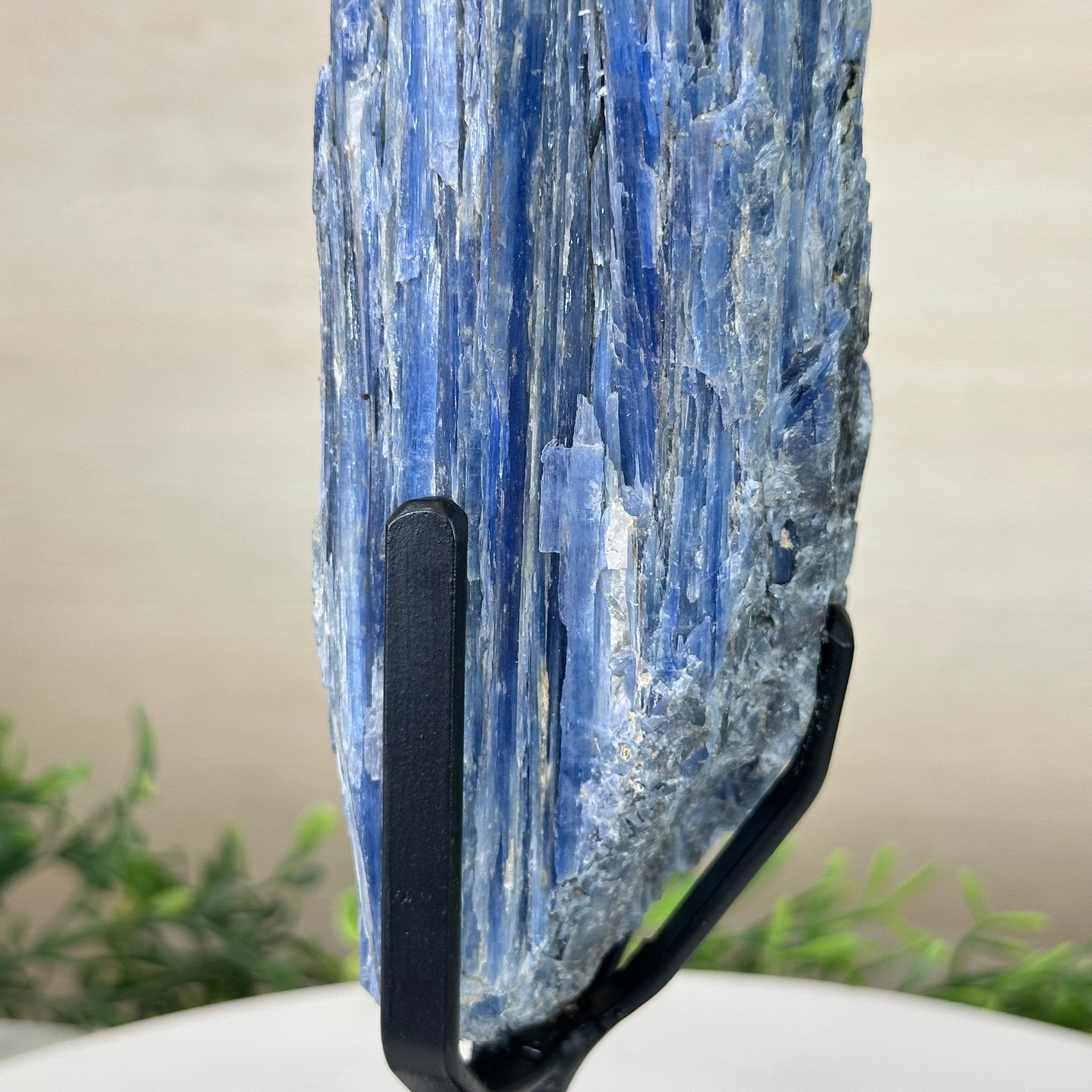 Kyanite Crystal on Metal Stand, 3.9 lbs & 11.3" Tall #6010 - 0021 - Brazil GemsBrazil GemsKyanite Crystal on Metal Stand, 3.9 lbs & 11.3" Tall #6010 - 0021Clusters on Fixed Bases6010 - 0021