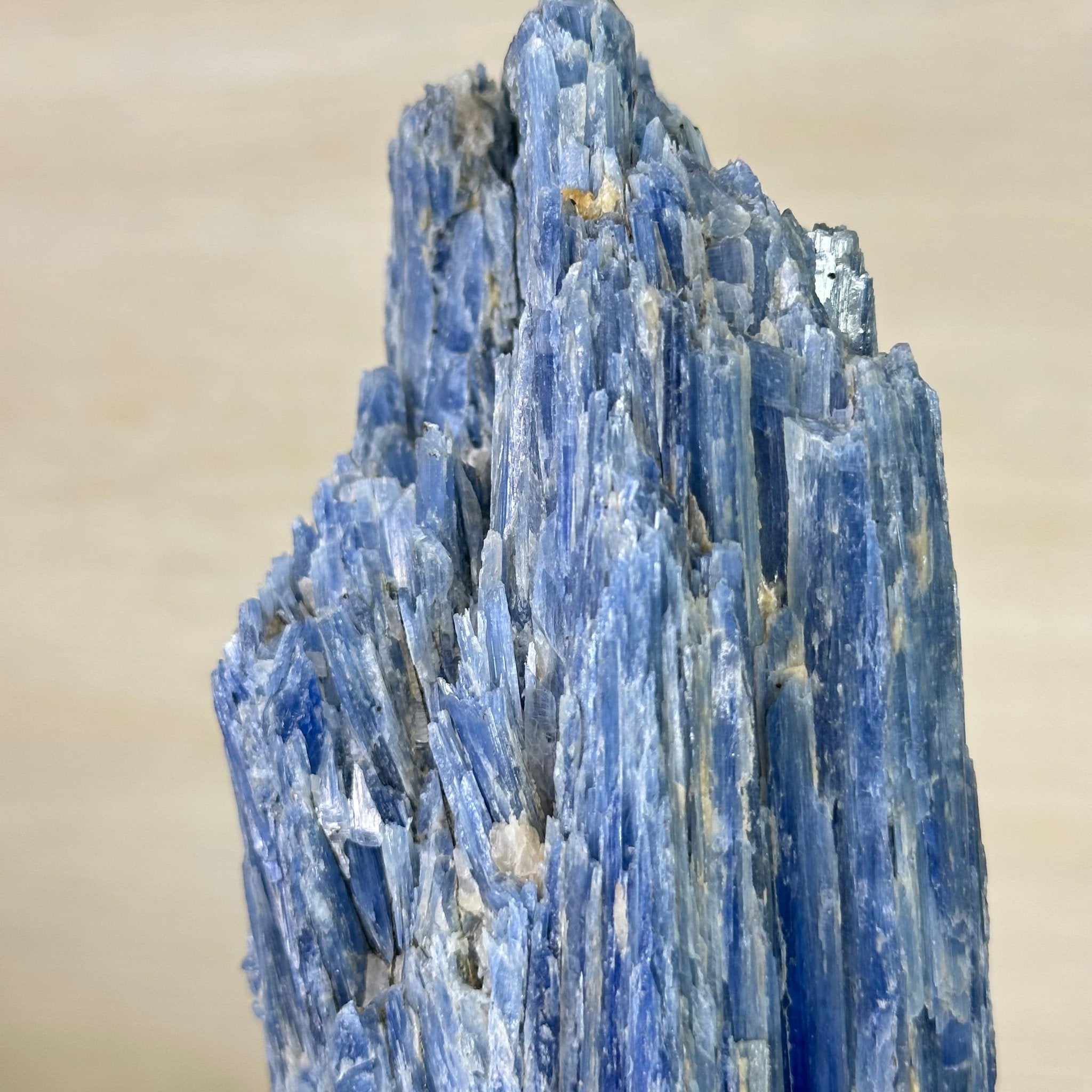 Kyanite Crystal on Metal Stand, 3.9 lbs & 11.3" Tall #6010 - 0021 - Brazil GemsBrazil GemsKyanite Crystal on Metal Stand, 3.9 lbs & 11.3" Tall #6010 - 0021Clusters on Fixed Bases6010 - 0021