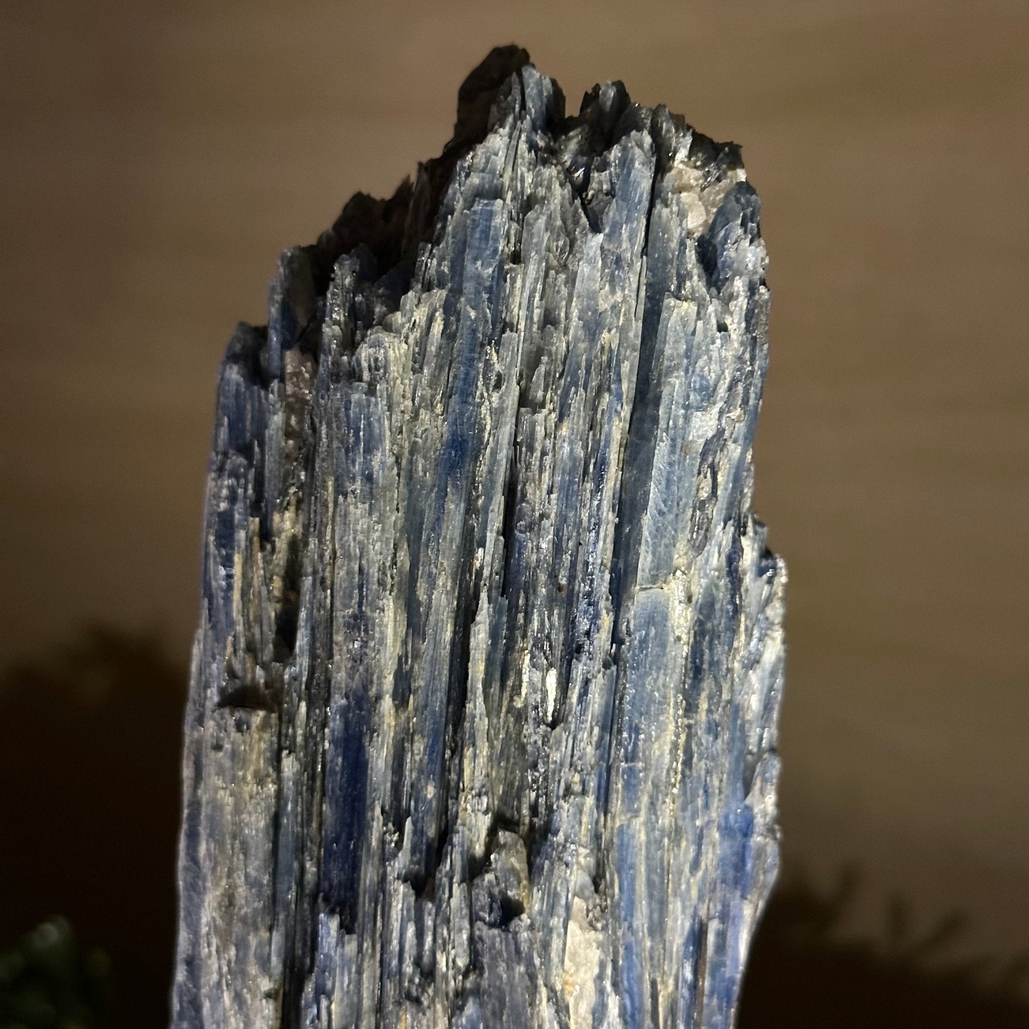 Kyanite Crystal on Metal Stand, 3.9 lbs & 11.3" Tall #6010 - 0021 - Brazil GemsBrazil GemsKyanite Crystal on Metal Stand, 3.9 lbs & 11.3" Tall #6010 - 0021Clusters on Fixed Bases6010 - 0021