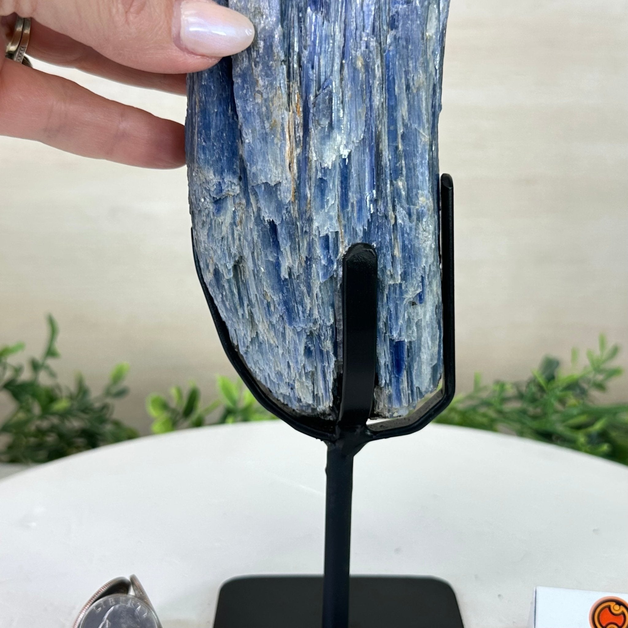 Kyanite Crystal on Metal Stand, 3.9 lbs & 11.3" Tall #6010 - 0021 - Brazil GemsBrazil GemsKyanite Crystal on Metal Stand, 3.9 lbs & 11.3" Tall #6010 - 0021Clusters on Fixed Bases6010 - 0021