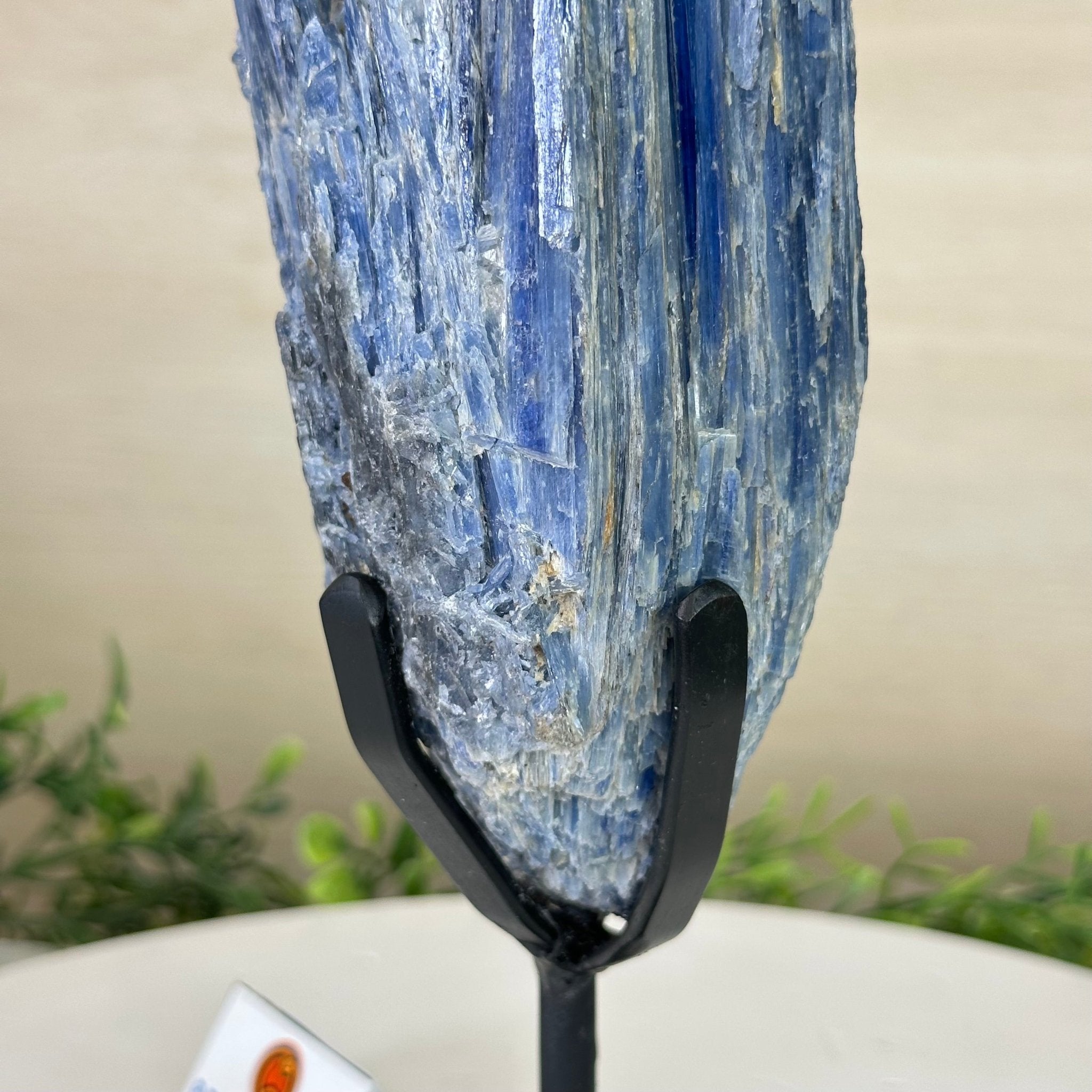 Kyanite Crystal on Metal Stand, 3.9 lbs & 11.3" Tall #6010 - 0021 - Brazil GemsBrazil GemsKyanite Crystal on Metal Stand, 3.9 lbs & 11.3" Tall #6010 - 0021Clusters on Fixed Bases6010 - 0021