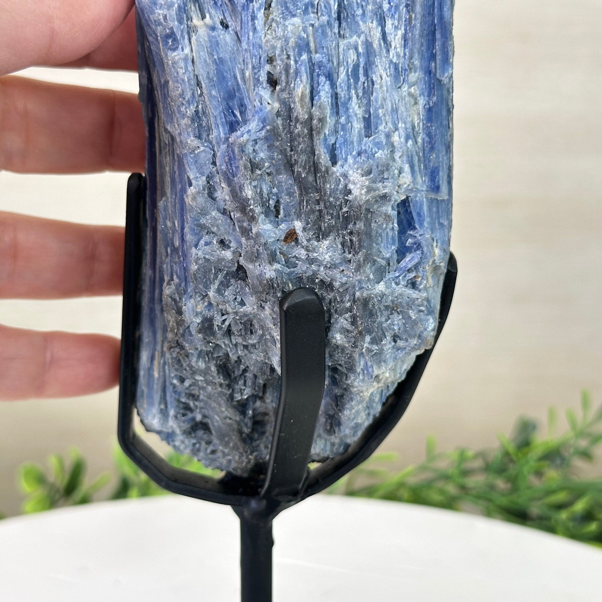 Kyanite Crystal on Metal Stand, 3.9 lbs & 11.3" Tall #6010 - 0021 - Brazil GemsBrazil GemsKyanite Crystal on Metal Stand, 3.9 lbs & 11.3" Tall #6010 - 0021Clusters on Fixed Bases6010 - 0021