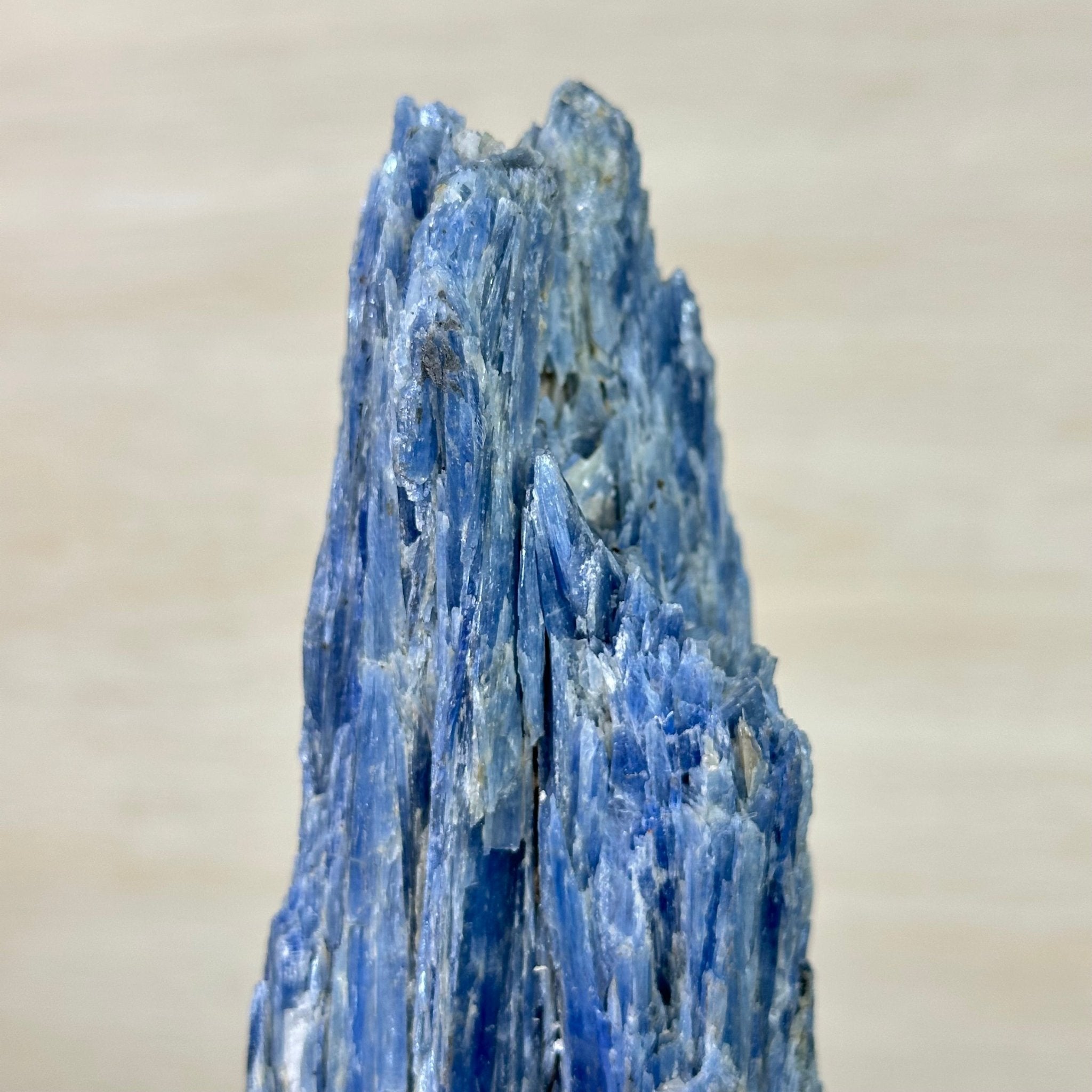 Kyanite Crystal on Metal Stand, 3.9 lbs & 11.3" Tall #6010 - 0021 - Brazil GemsBrazil GemsKyanite Crystal on Metal Stand, 3.9 lbs & 11.3" Tall #6010 - 0021Clusters on Fixed Bases6010 - 0021