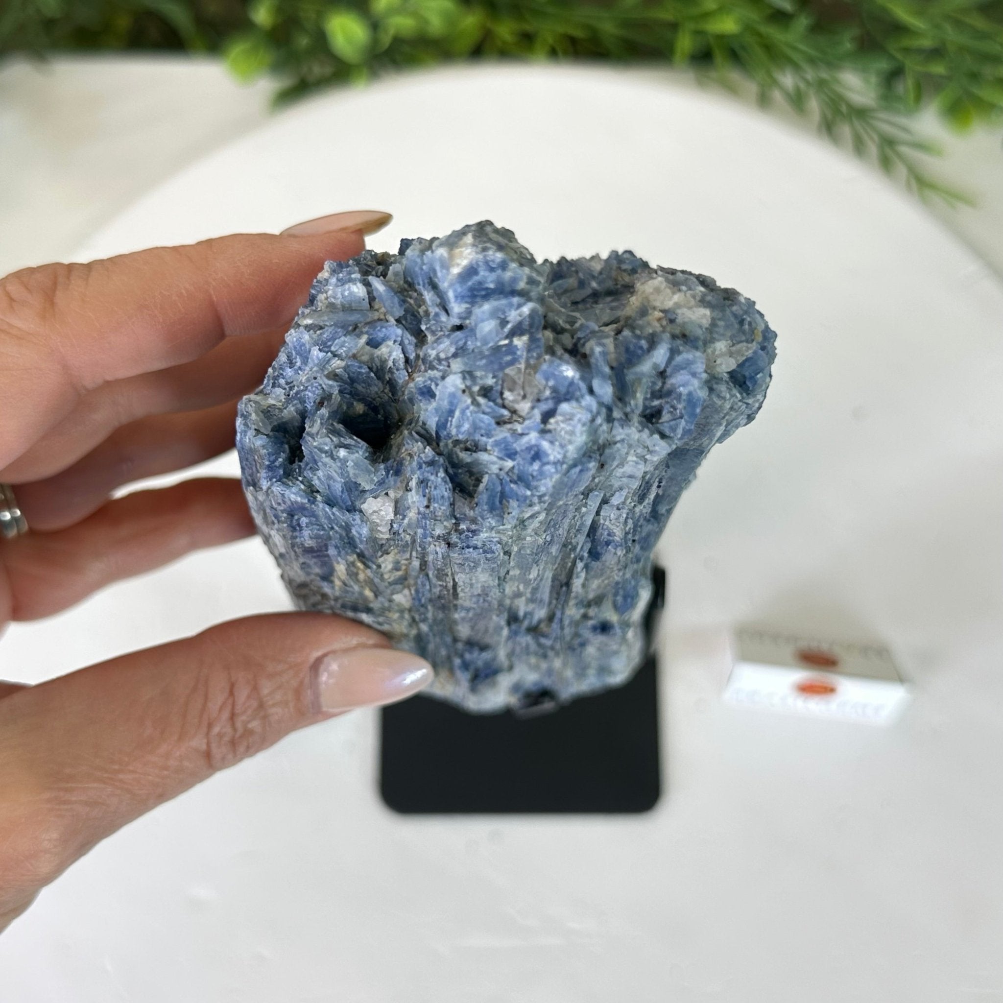 Kyanite Crystal on Metal Stand, 3.9 lbs & 11.3" Tall #6010 - 0021 - Brazil GemsBrazil GemsKyanite Crystal on Metal Stand, 3.9 lbs & 11.3" Tall #6010 - 0021Clusters on Fixed Bases6010 - 0021