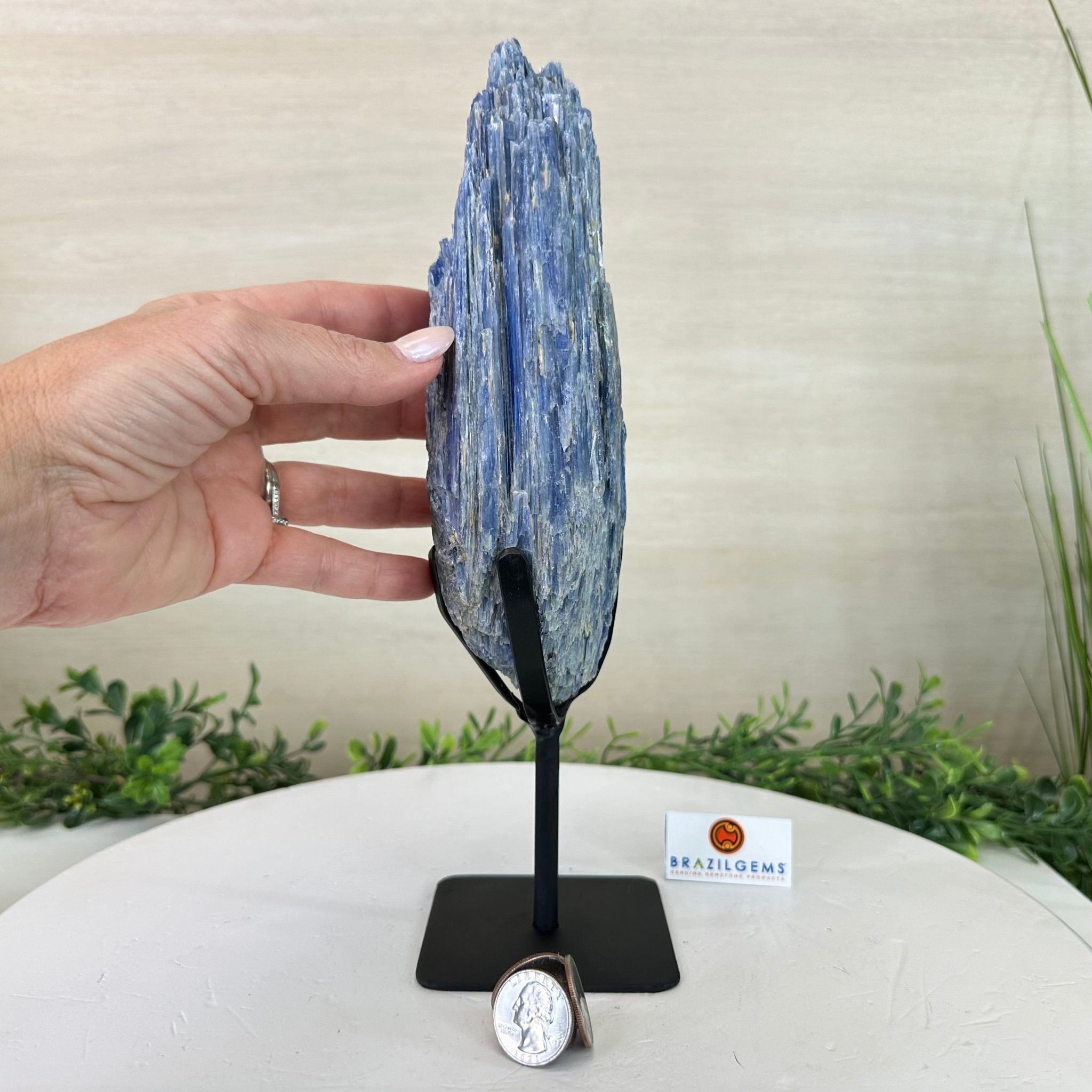 Kyanite Crystal on Metal Stand, 3.9 lbs & 11.3" Tall #6010 - 0021 - Brazil GemsBrazil GemsKyanite Crystal on Metal Stand, 3.9 lbs & 11.3" Tall #6010 - 0021Clusters on Fixed Bases6010 - 0021