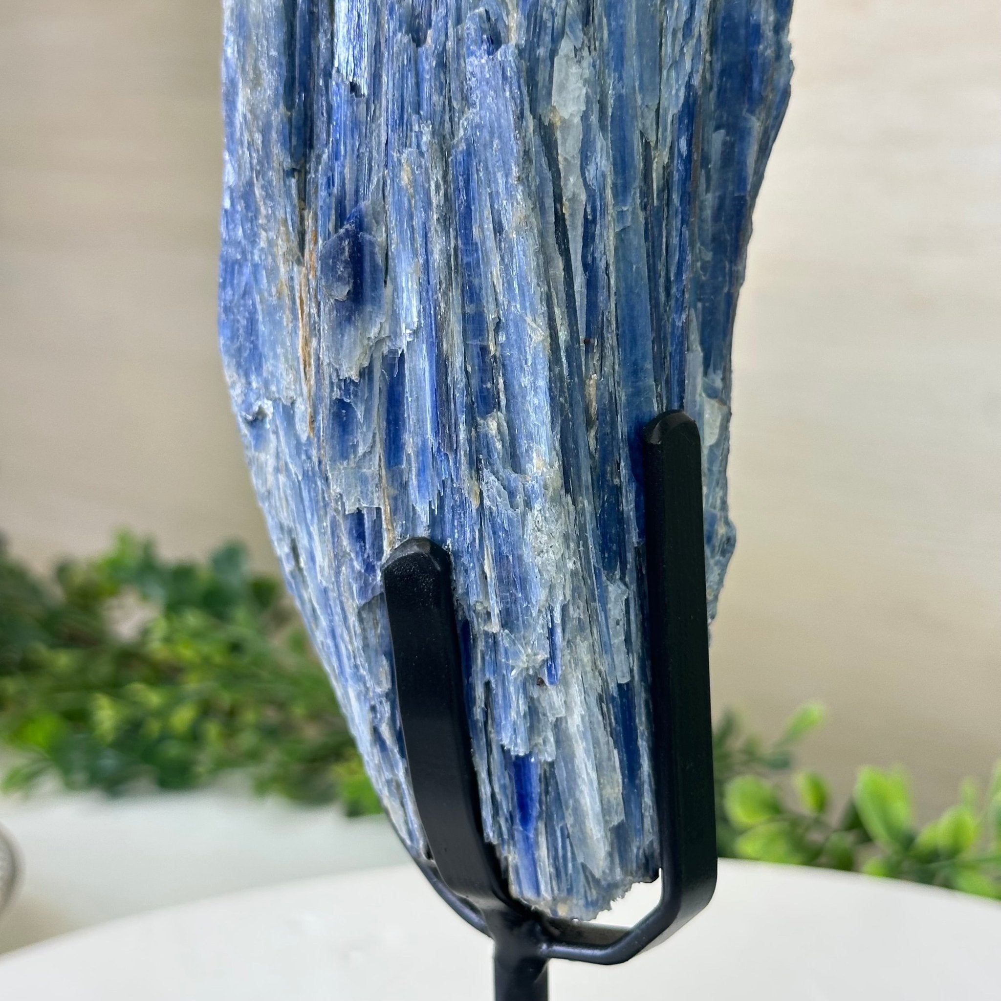 Kyanite Crystal on Metal Stand, 3.9 lbs & 11.3" Tall #6010 - 0021 - Brazil GemsBrazil GemsKyanite Crystal on Metal Stand, 3.9 lbs & 11.3" Tall #6010 - 0021Clusters on Fixed Bases6010 - 0021