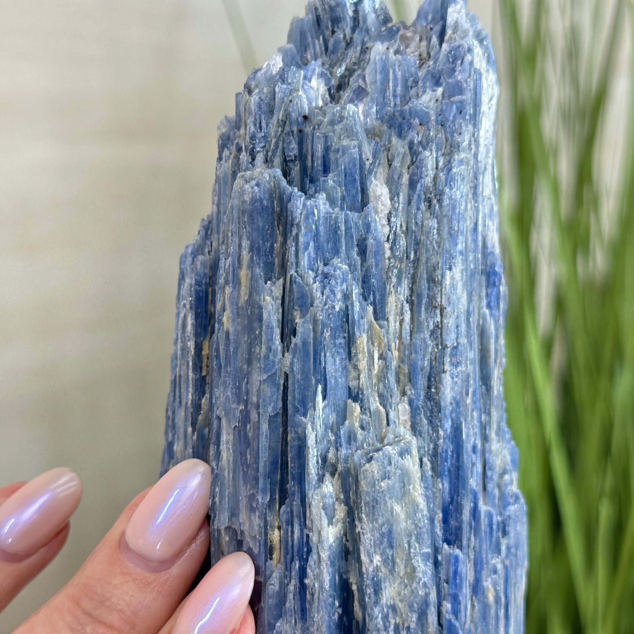 Kyanite Crystal on Metal Stand, 3.9 lbs & 11.3" Tall #6010 - 0021 - Brazil GemsBrazil GemsKyanite Crystal on Metal Stand, 3.9 lbs & 11.3" Tall #6010 - 0021Clusters on Fixed Bases6010 - 0021