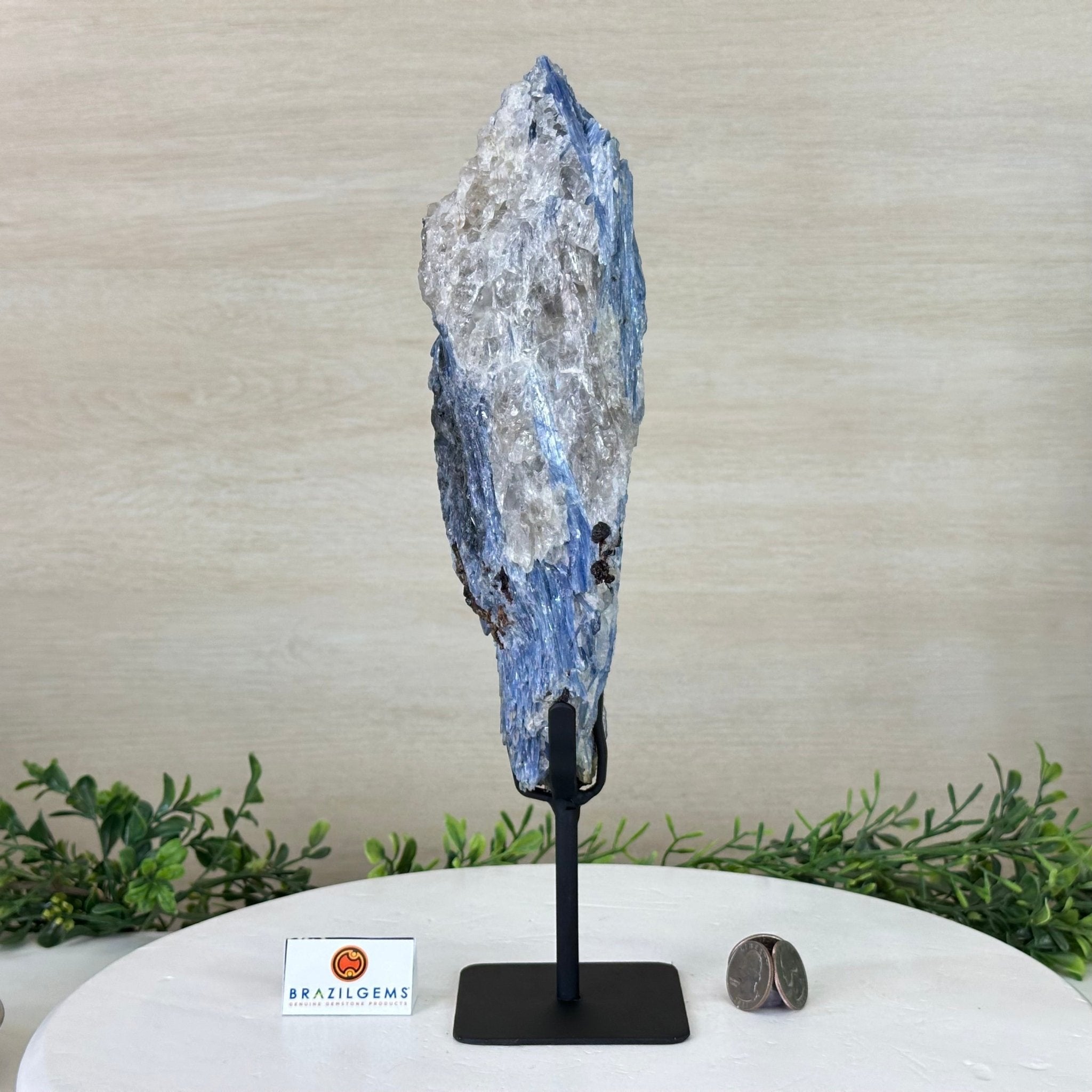 Kyanite Crystal on Metal Stand, 4.3 lbs & 13.2" Tall #6010 - 0022 - Brazil GemsBrazil GemsKyanite Crystal on Metal Stand, 4.3 lbs & 13.2" Tall #6010 - 0022Clusters on Fixed Bases6010 - 0022