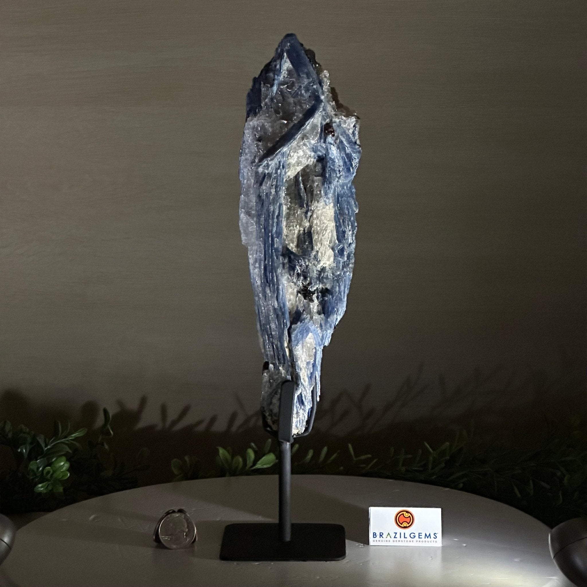 Kyanite Crystal on Metal Stand, 4.3 lbs & 13.2" Tall #6010 - 0022 - Brazil GemsBrazil GemsKyanite Crystal on Metal Stand, 4.3 lbs & 13.2" Tall #6010 - 0022Clusters on Fixed Bases6010 - 0022