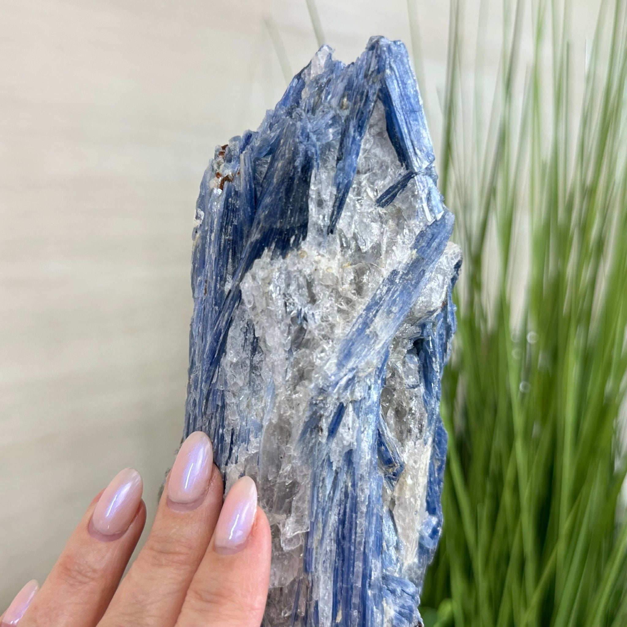 Kyanite Crystal on Metal Stand, 4.3 lbs & 13.2" Tall #6010 - 0022 - Brazil GemsBrazil GemsKyanite Crystal on Metal Stand, 4.3 lbs & 13.2" Tall #6010 - 0022Clusters on Fixed Bases6010 - 0022