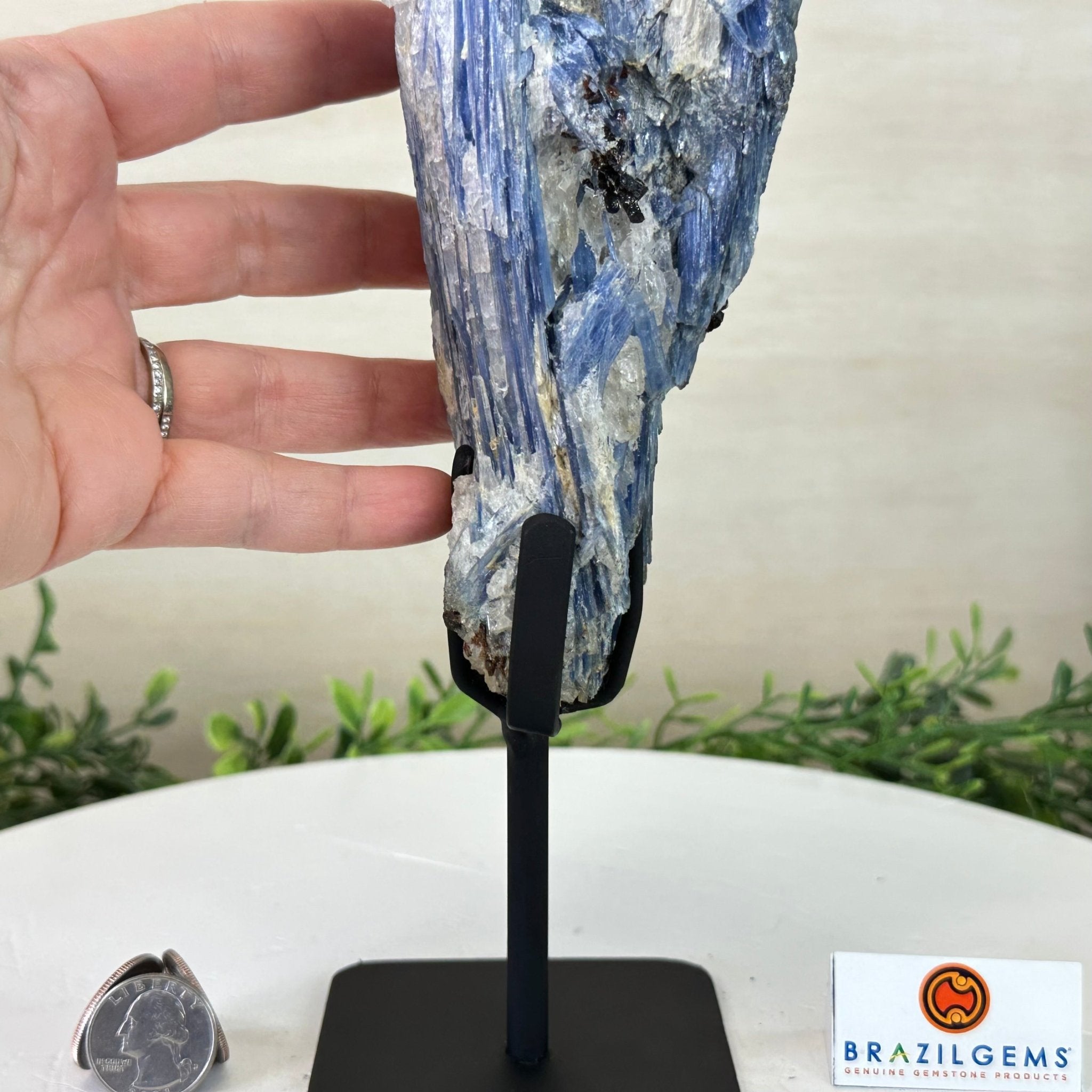 Kyanite Crystal on Metal Stand, 4.3 lbs & 13.2" Tall #6010 - 0022 - Brazil GemsBrazil GemsKyanite Crystal on Metal Stand, 4.3 lbs & 13.2" Tall #6010 - 0022Clusters on Fixed Bases6010 - 0022