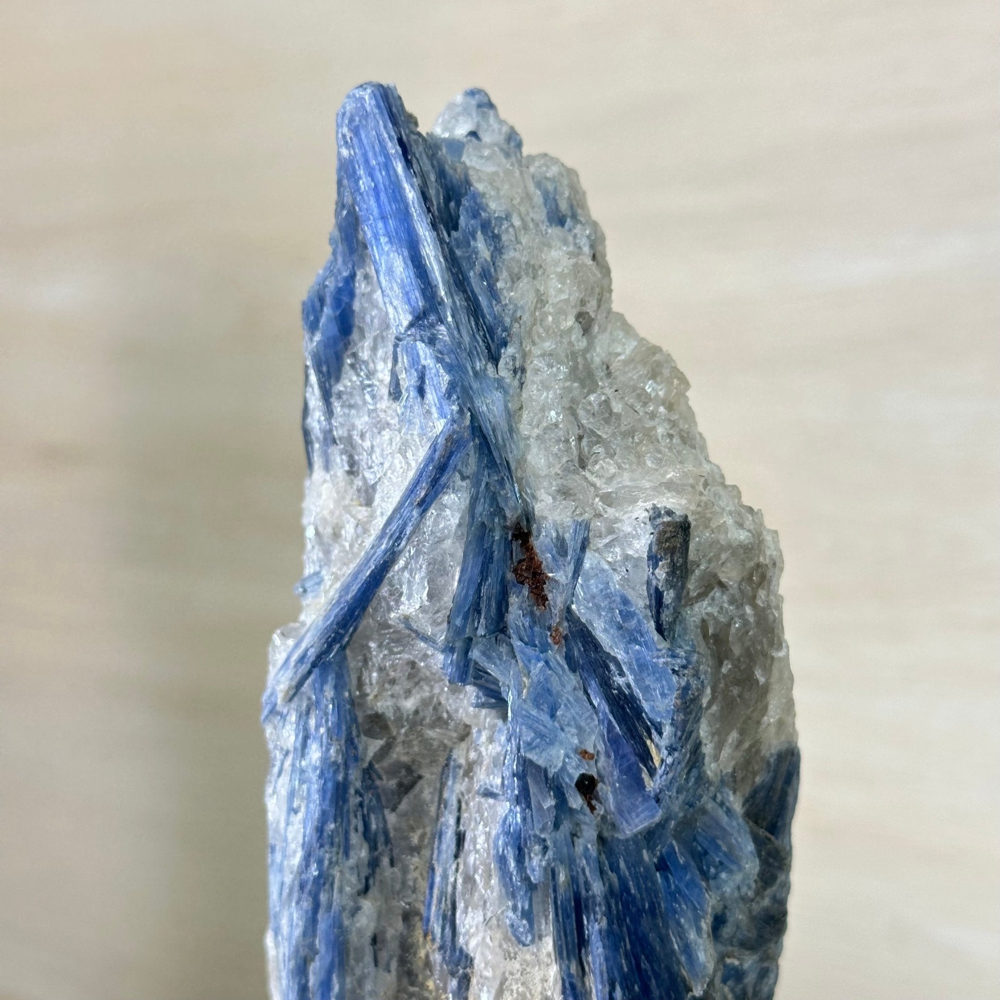 Kyanite Crystal on Metal Stand, 4.3 lbs & 13.2" Tall #6010 - 0022 - Brazil GemsBrazil GemsKyanite Crystal on Metal Stand, 4.3 lbs & 13.2" Tall #6010 - 0022Clusters on Fixed Bases6010 - 0022