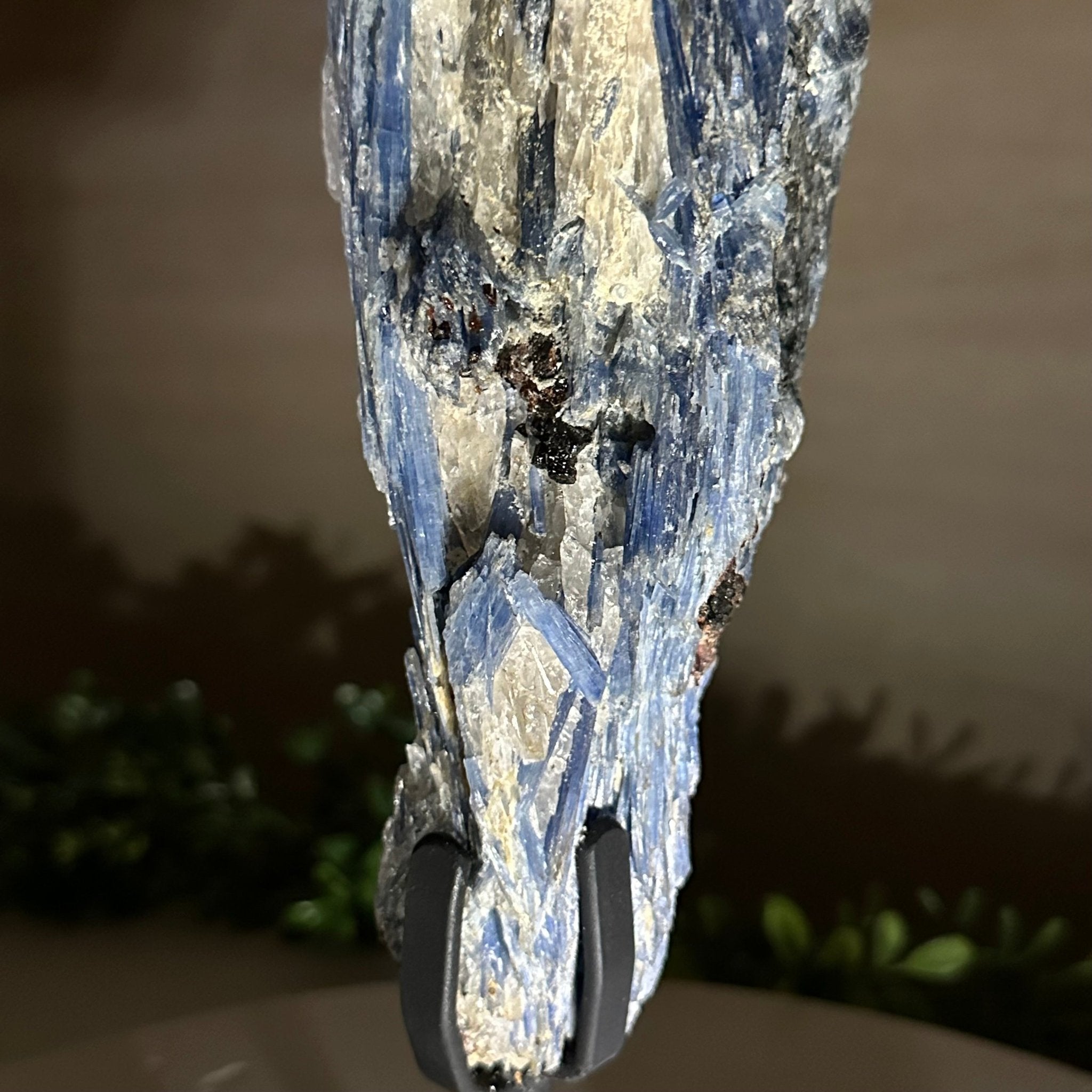 Kyanite Crystal on Metal Stand, 4.3 lbs & 13.2" Tall #6010 - 0022 - Brazil GemsBrazil GemsKyanite Crystal on Metal Stand, 4.3 lbs & 13.2" Tall #6010 - 0022Clusters on Fixed Bases6010 - 0022