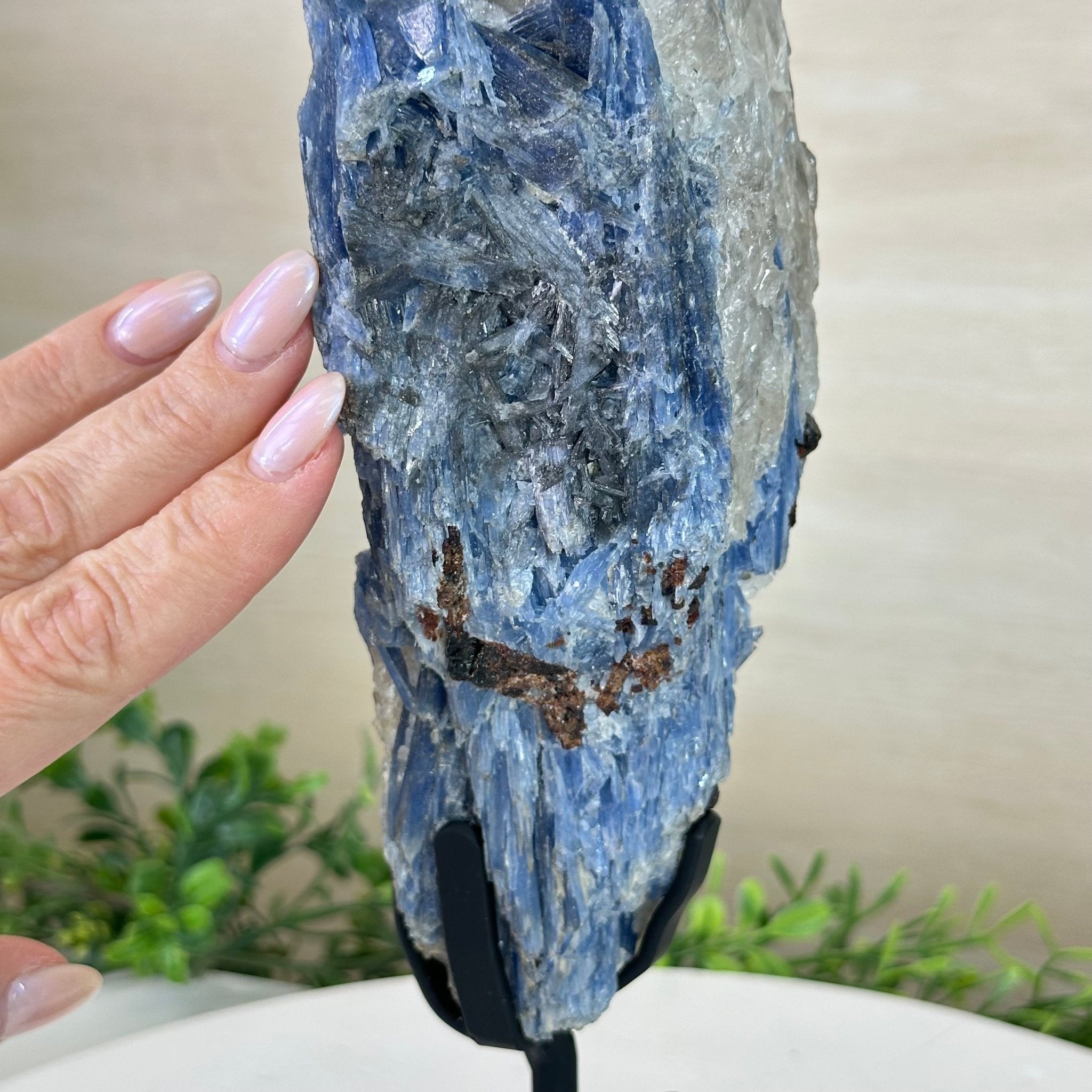 Kyanite Crystal on Metal Stand, 4.3 lbs & 13.2" Tall #6010 - 0022 - Brazil GemsBrazil GemsKyanite Crystal on Metal Stand, 4.3 lbs & 13.2" Tall #6010 - 0022Clusters on Fixed Bases6010 - 0022