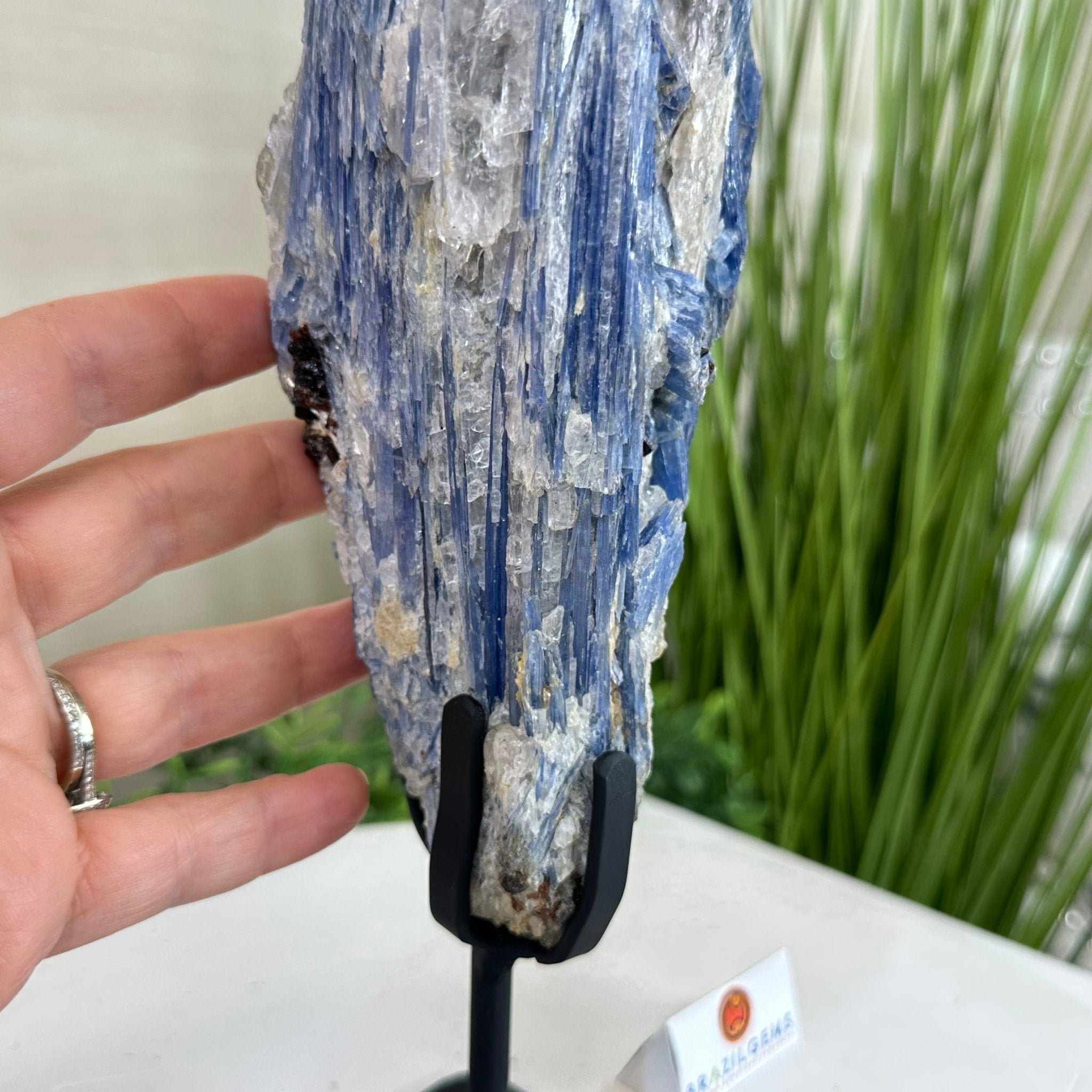 Kyanite Crystal on Metal Stand, 4.3 lbs & 13.2" Tall #6010 - 0022 - Brazil GemsBrazil GemsKyanite Crystal on Metal Stand, 4.3 lbs & 13.2" Tall #6010 - 0022Clusters on Fixed Bases6010 - 0022