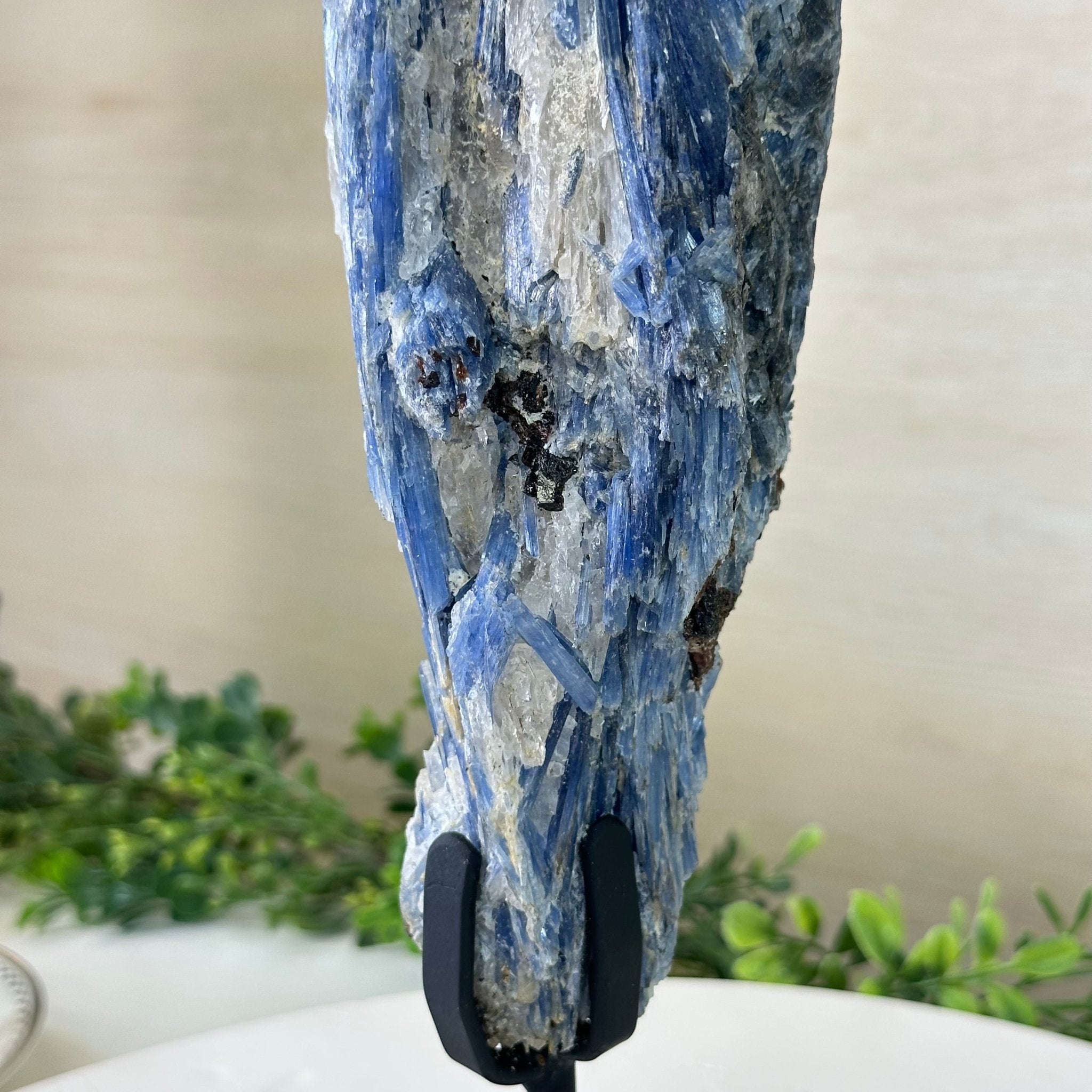 Kyanite Crystal on Metal Stand, 4.3 lbs & 13.2" Tall #6010 - 0022 - Brazil GemsBrazil GemsKyanite Crystal on Metal Stand, 4.3 lbs & 13.2" Tall #6010 - 0022Clusters on Fixed Bases6010 - 0022