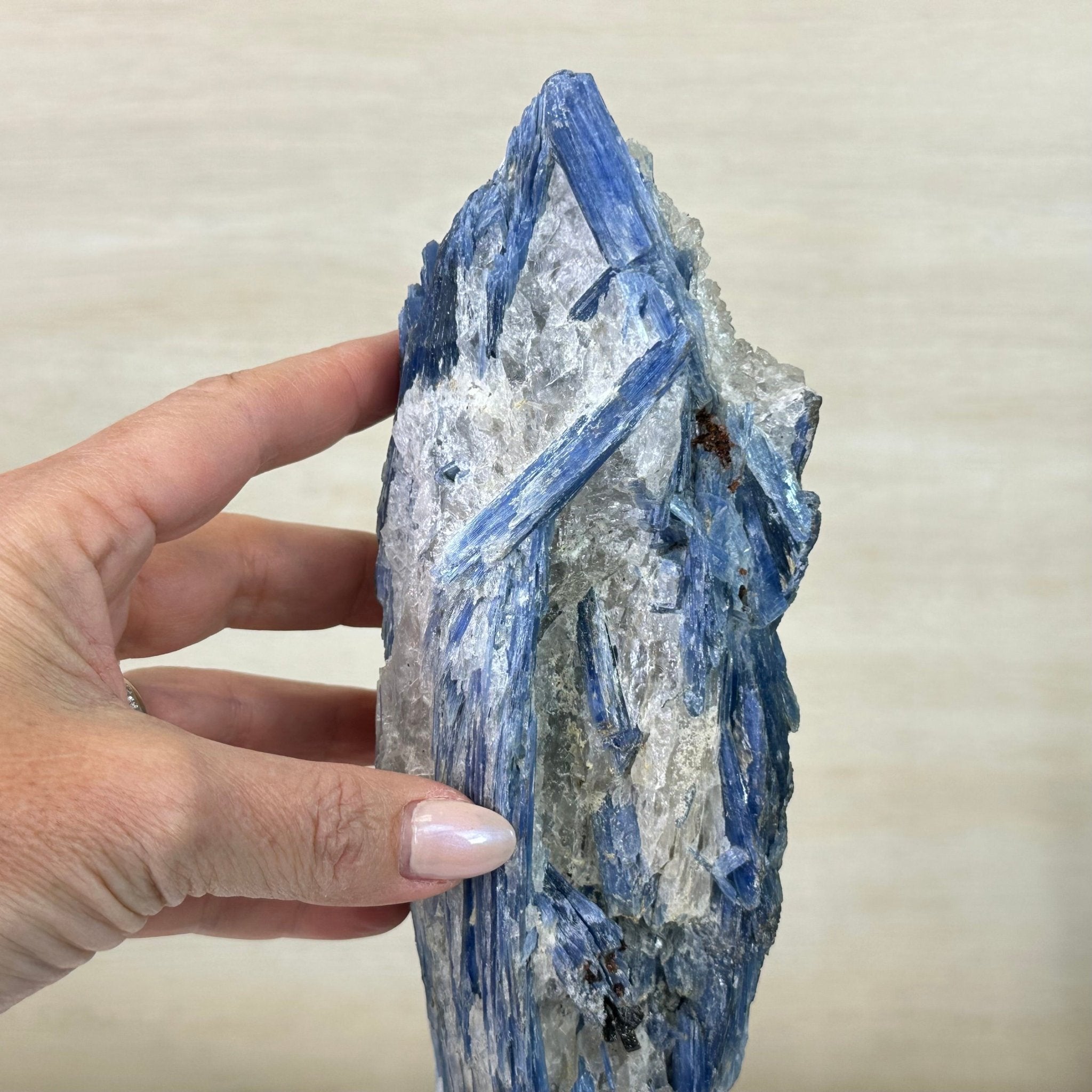 Kyanite Crystal on Metal Stand, 4.3 lbs & 13.2" Tall #6010 - 0022 - Brazil GemsBrazil GemsKyanite Crystal on Metal Stand, 4.3 lbs & 13.2" Tall #6010 - 0022Clusters on Fixed Bases6010 - 0022